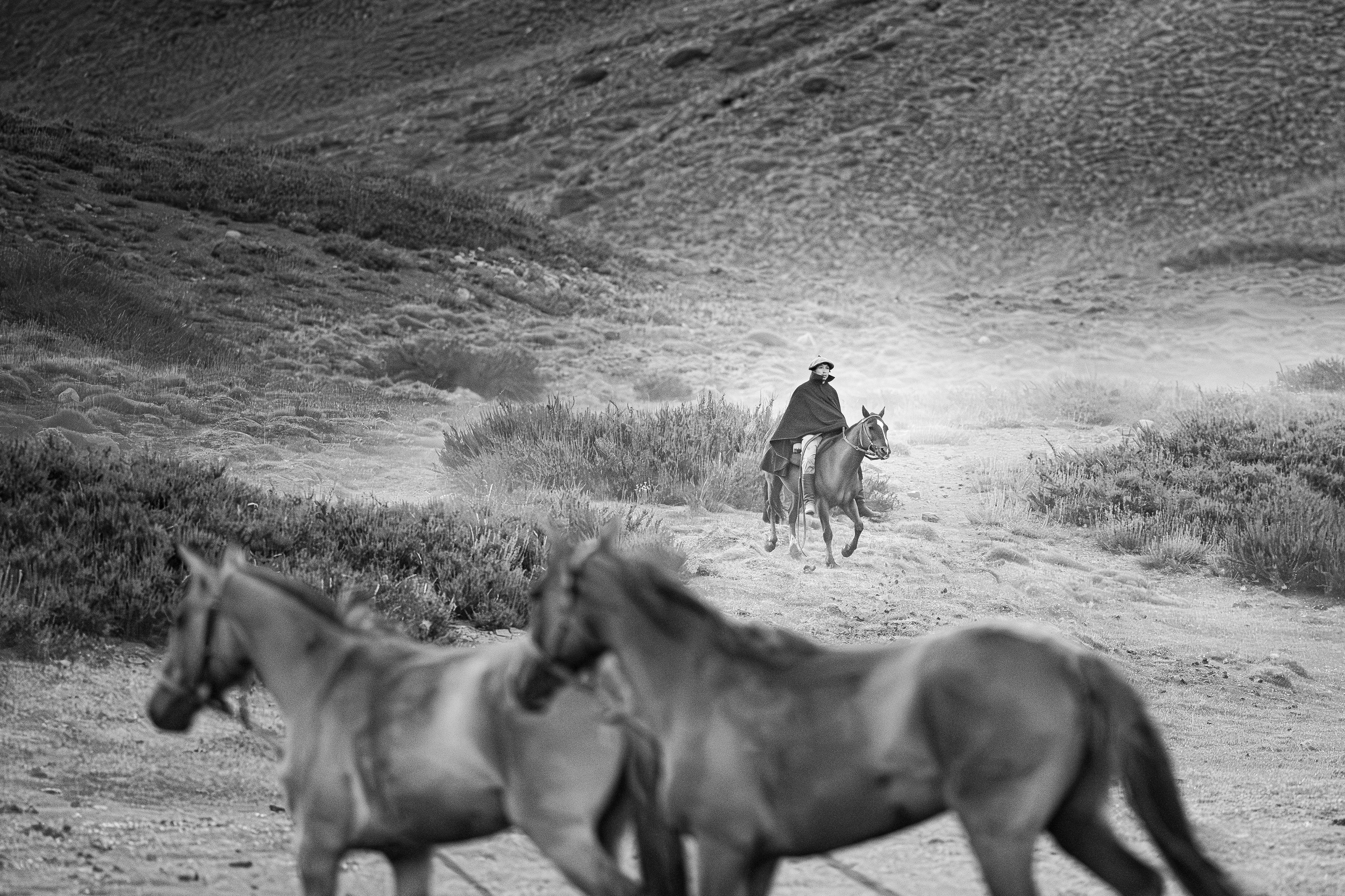 Buscando la tropilla