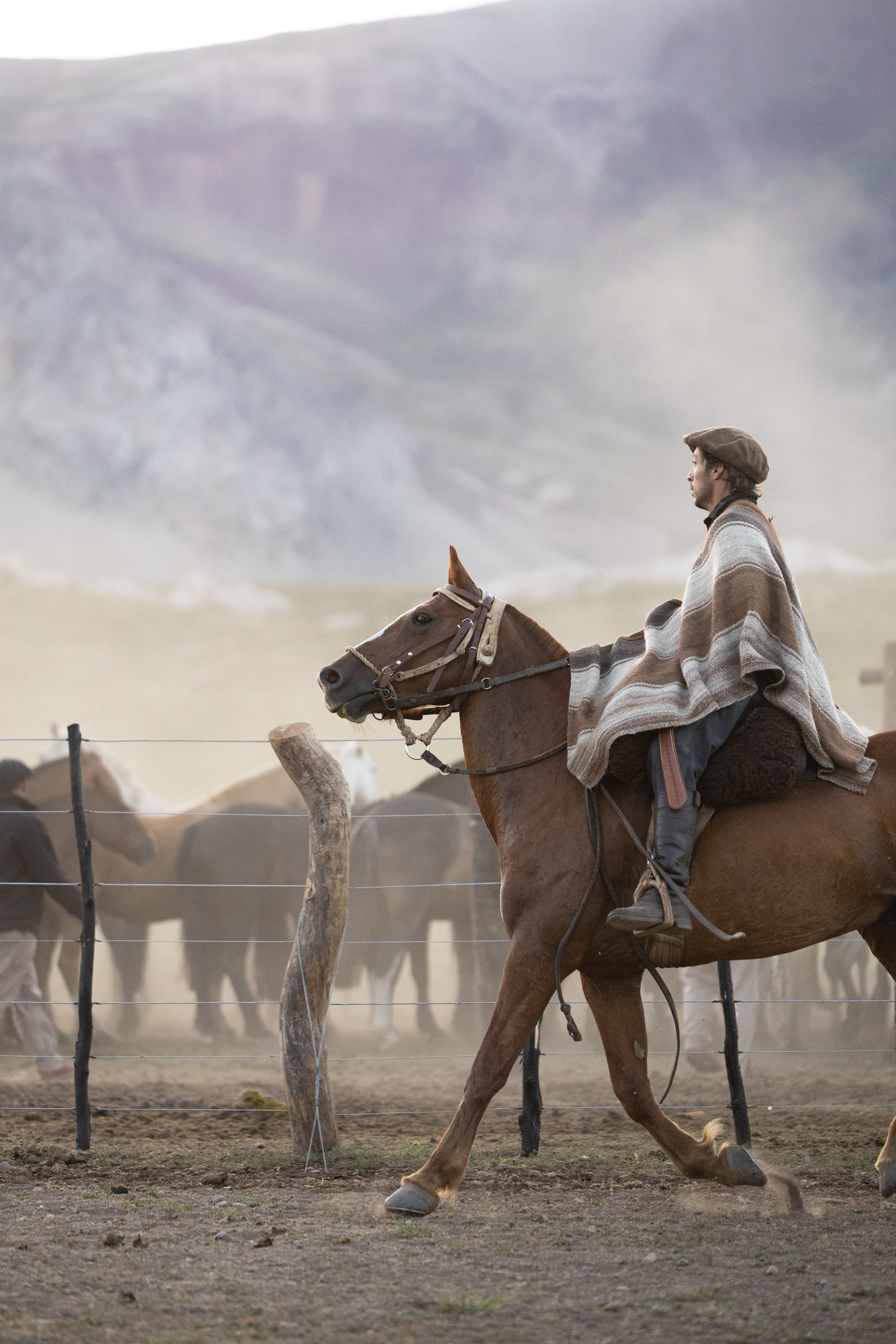 Separando la tropilla