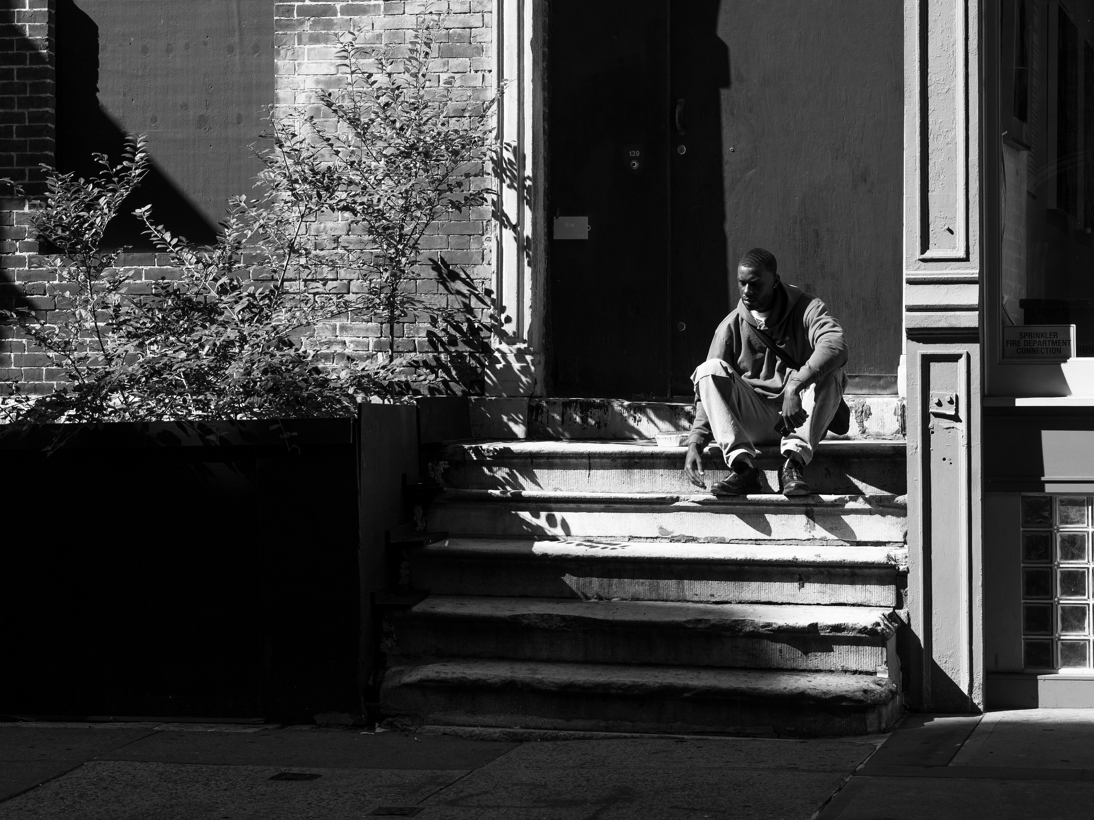 The Stoop
