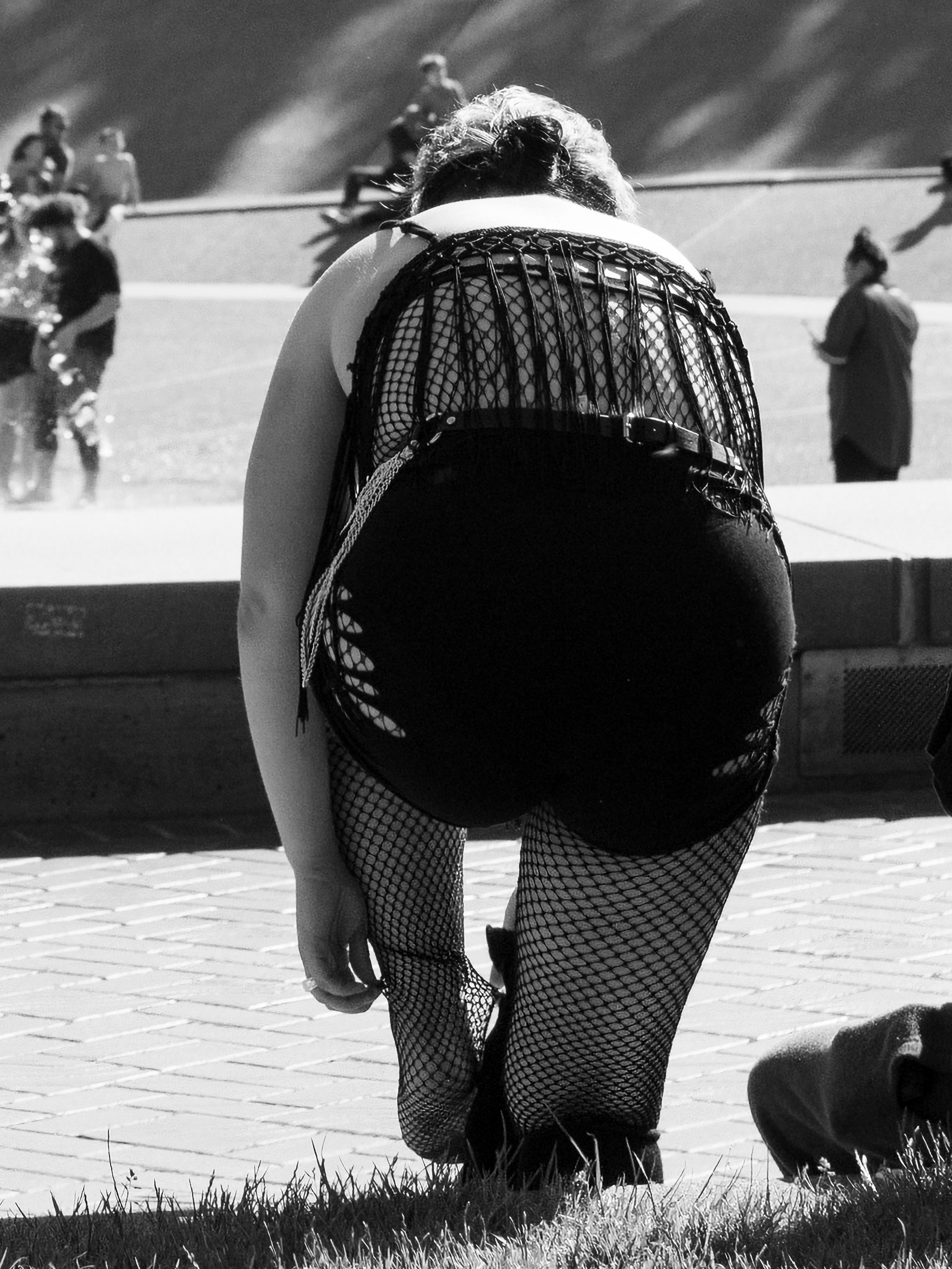 Fishnetted