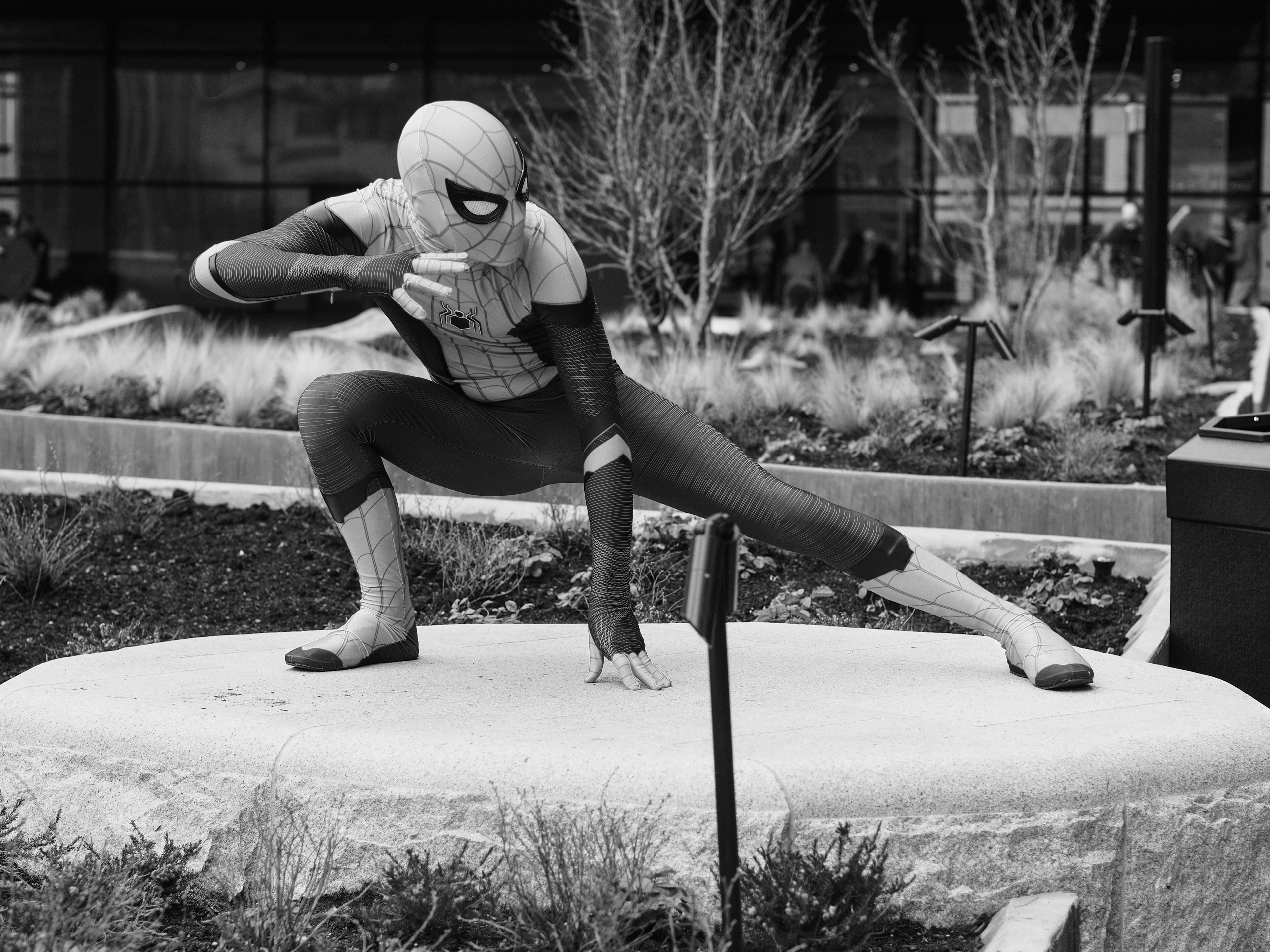 Spiderman!