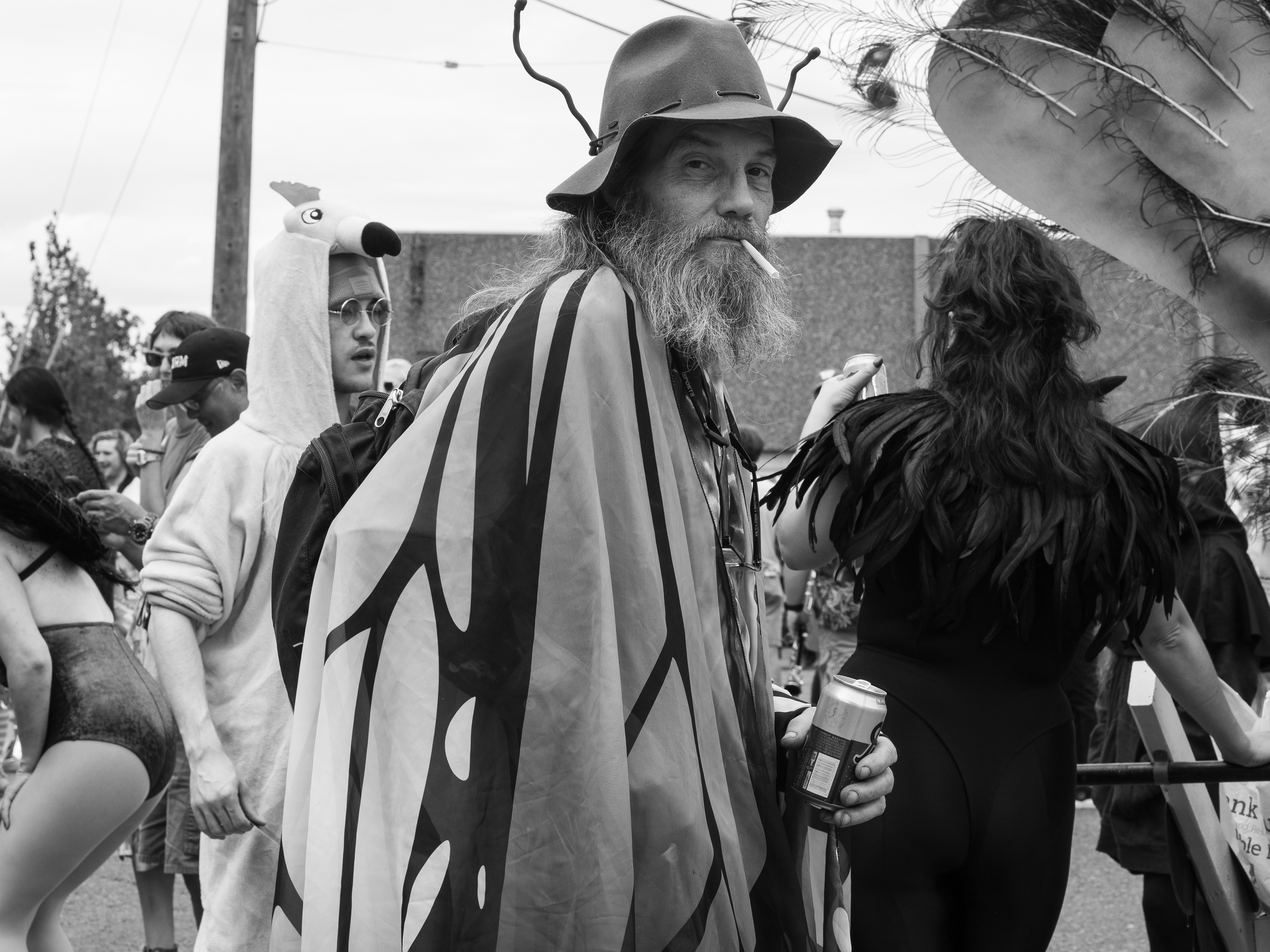 Weary Wizard
