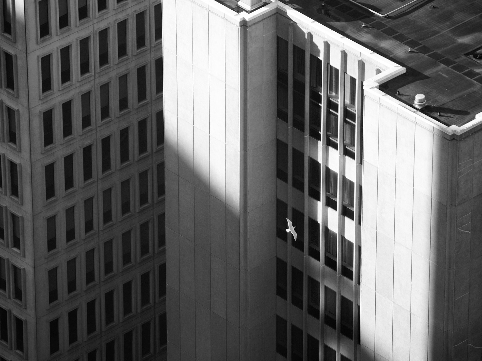 High Glide