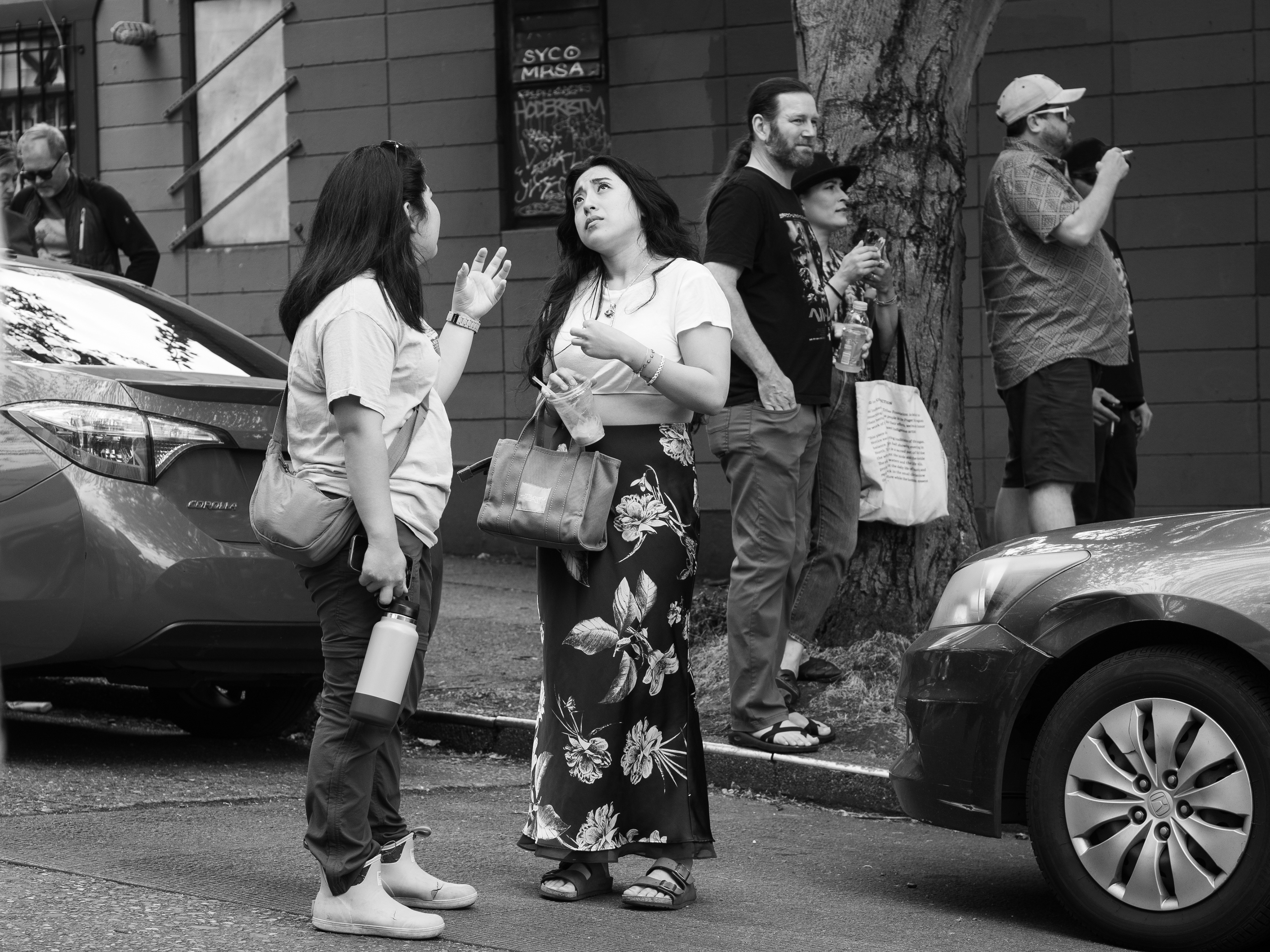 "Jaywalk?"