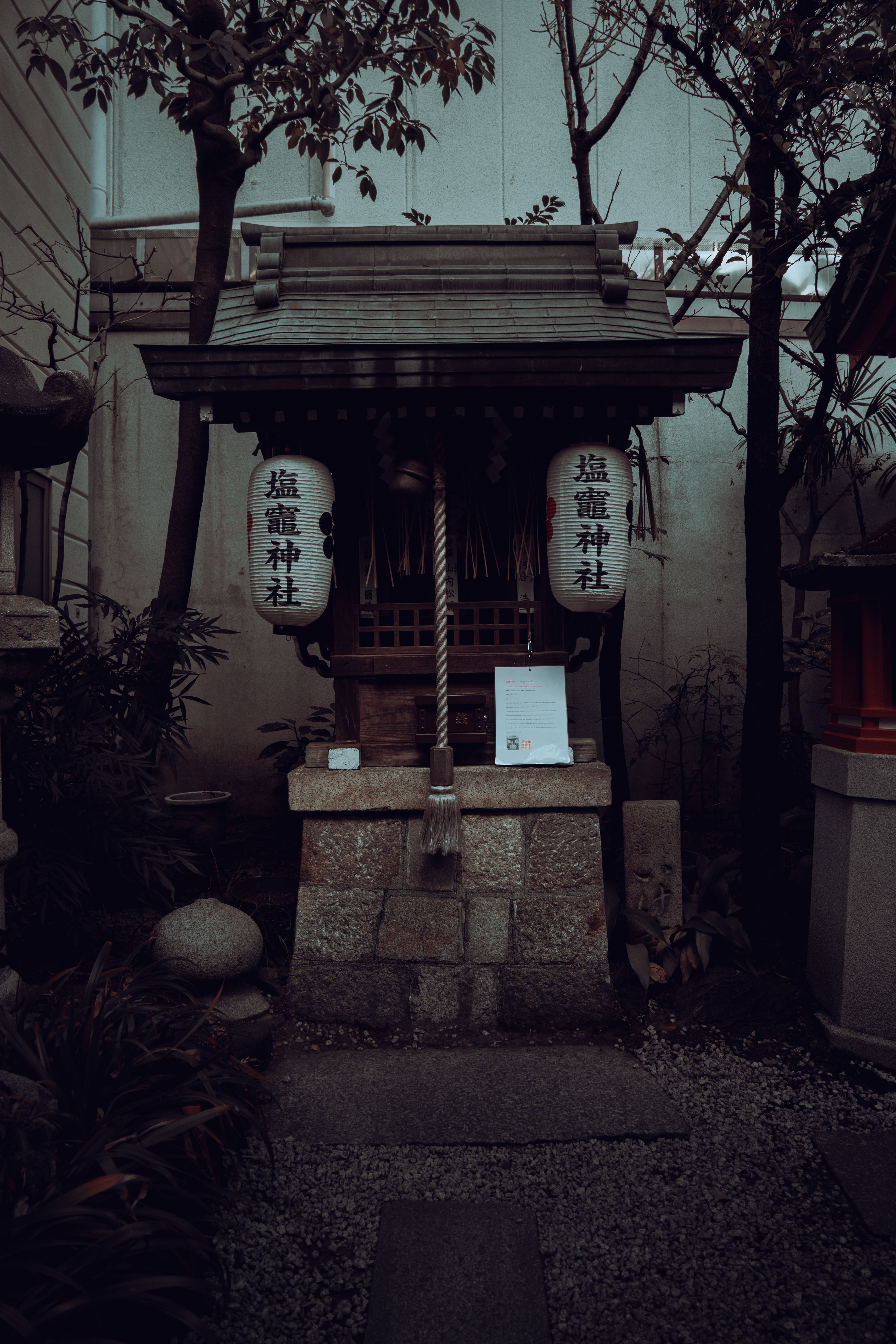 JPM Trip - 01.26