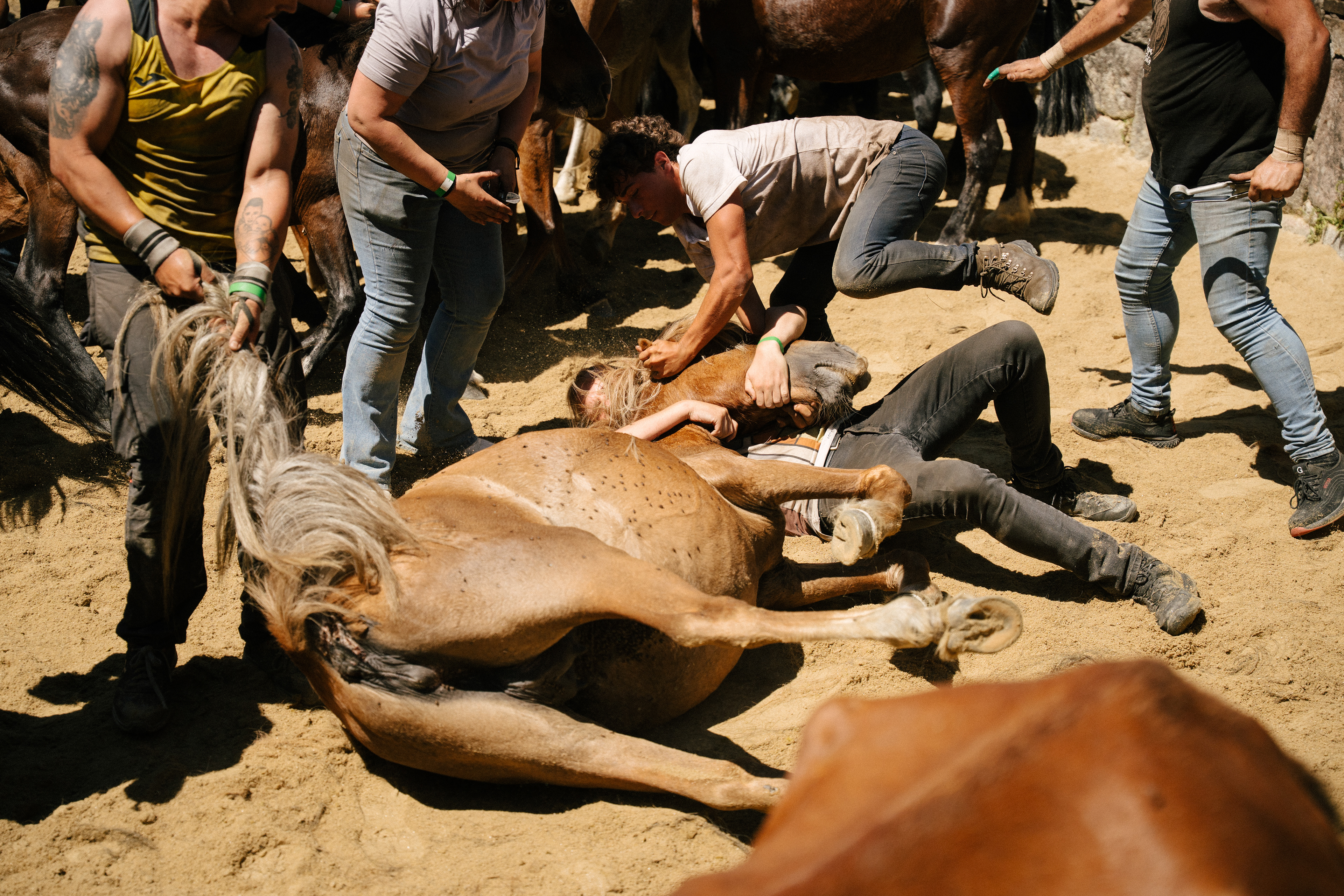 Rapa das Bestas, 2025