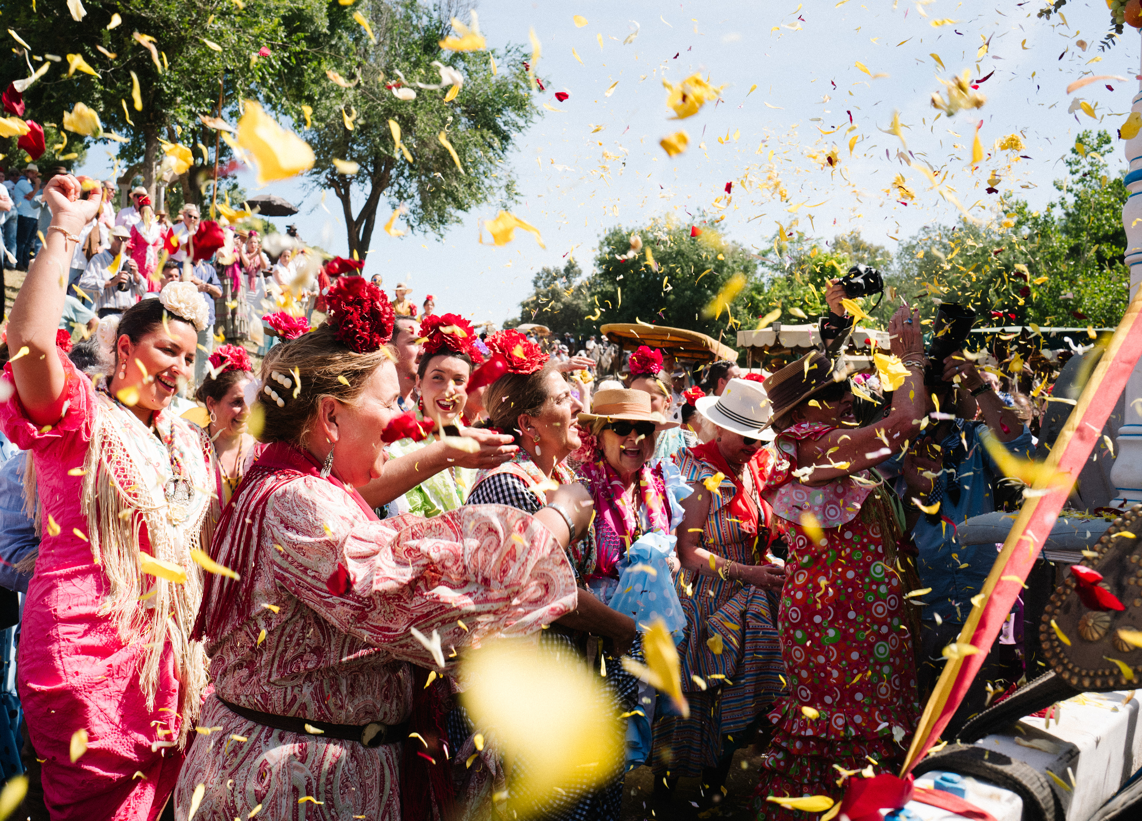La Romeria del Rocio, 2026
