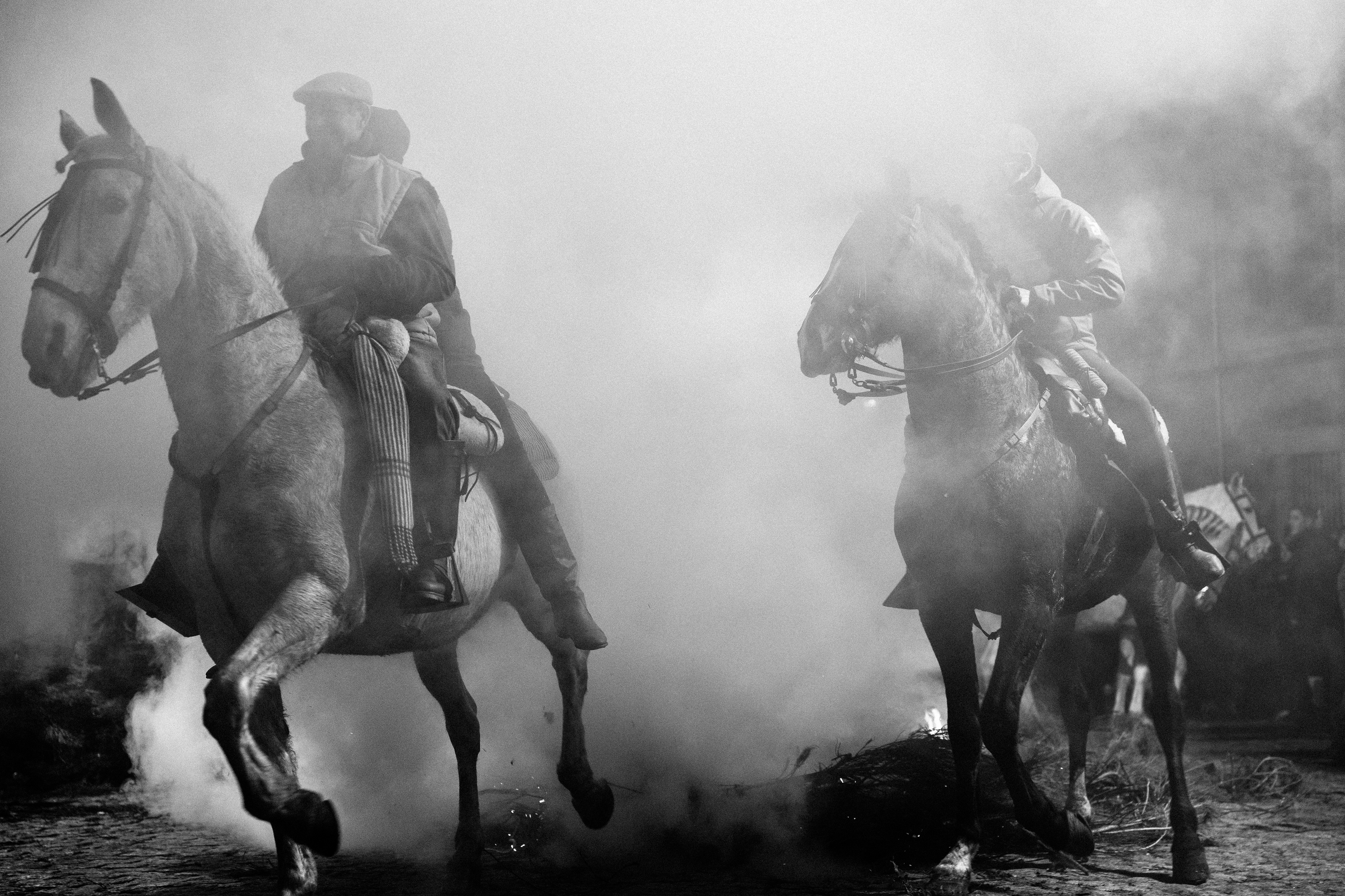 Las Luminarias, 2026