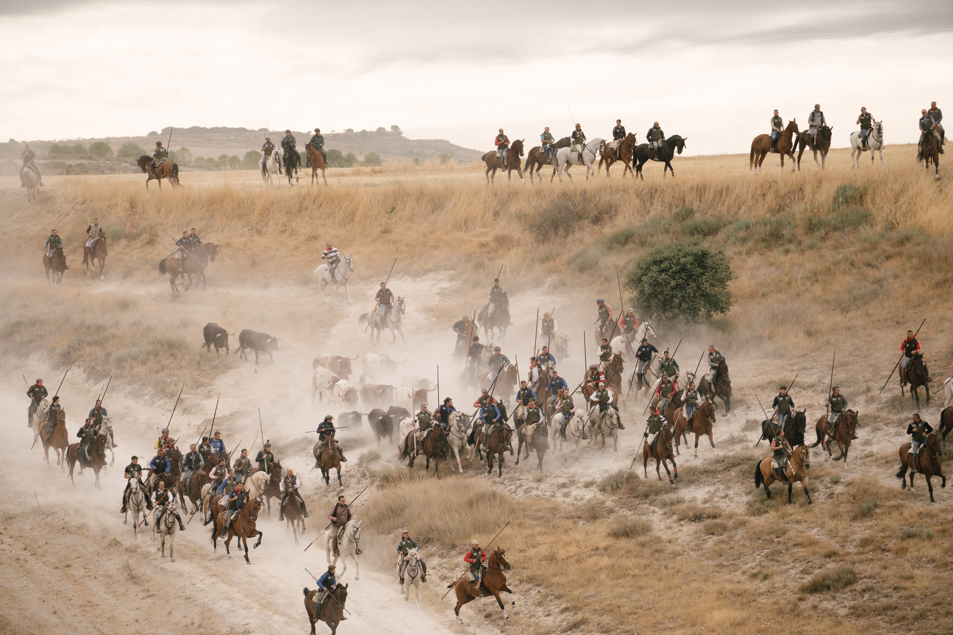 Encierros de Cuellar, 2025