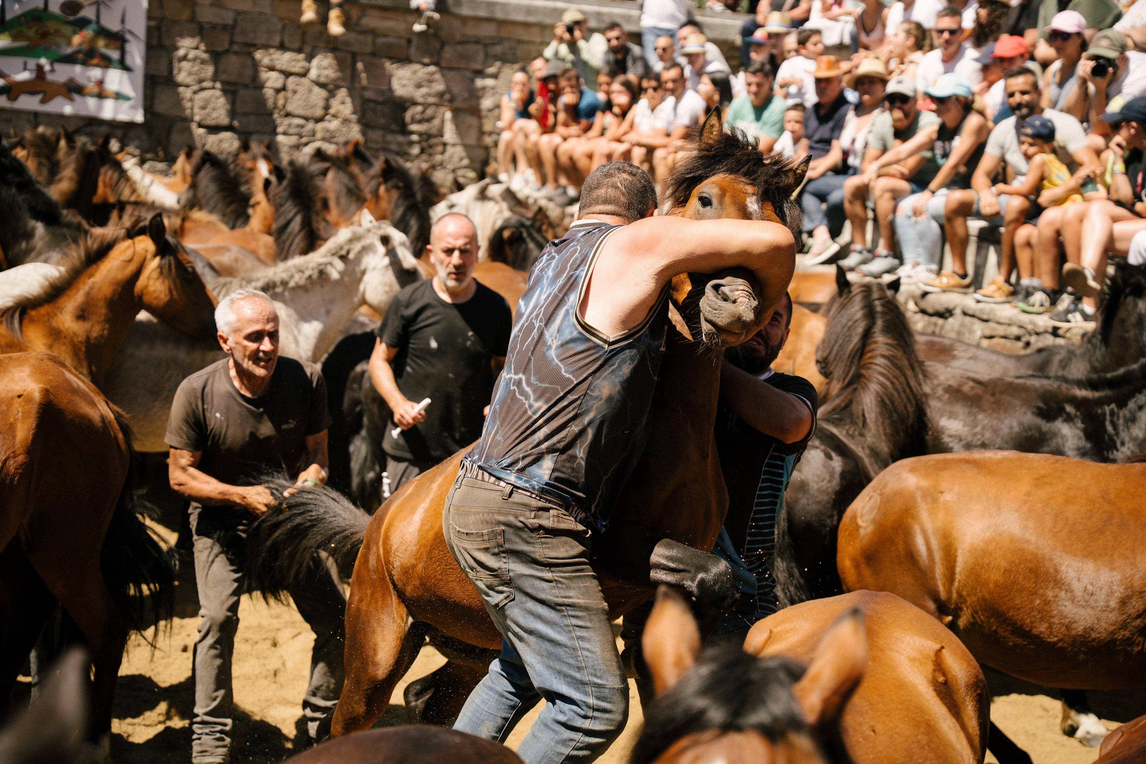 Rapa das Bestas, 2025