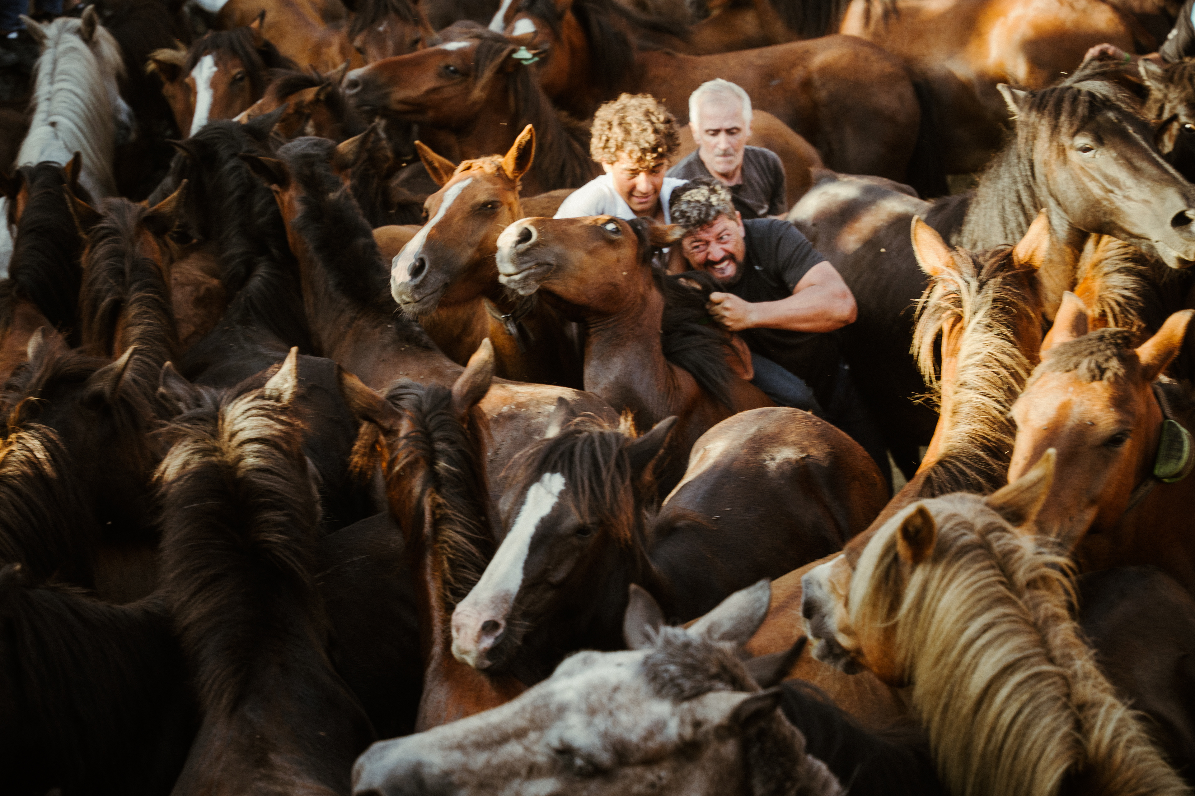 Rapa das Bestas, 2025