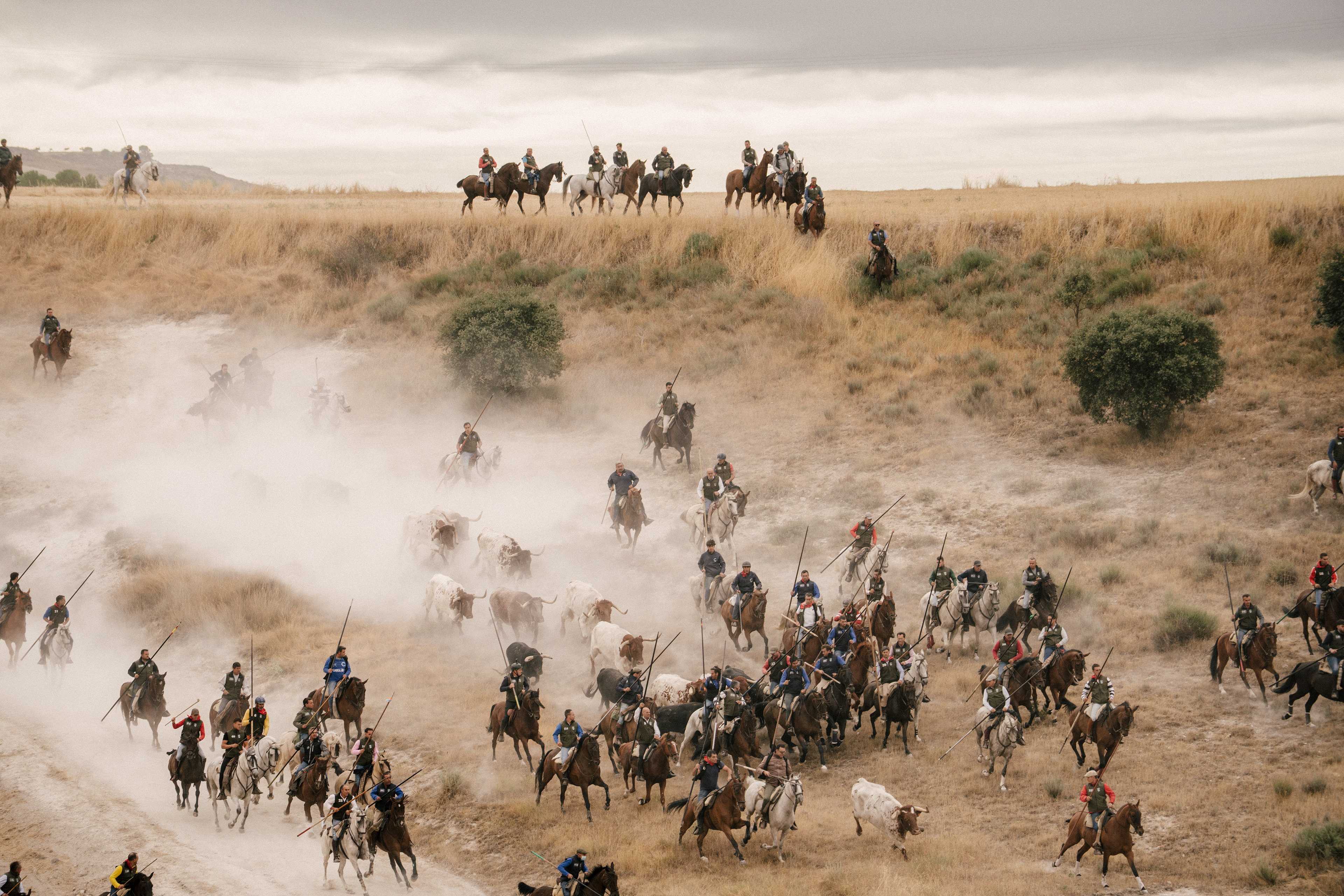 Encierros de Cuellar, 2025