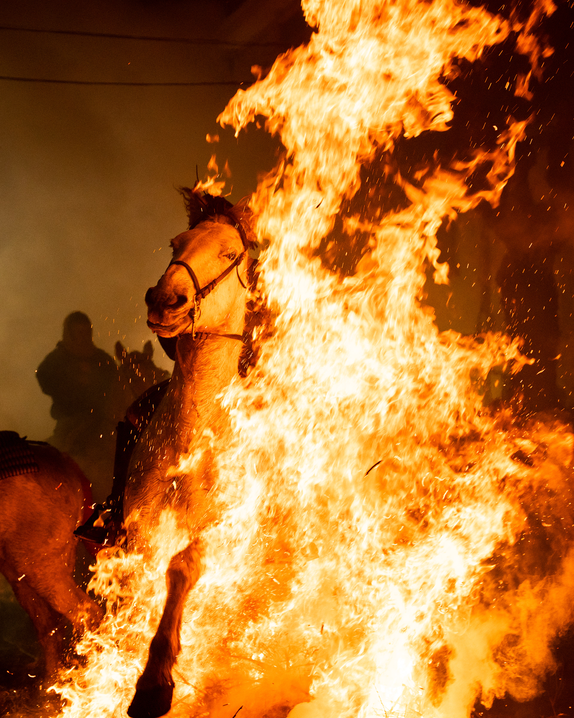 Las Luminarias, 2026