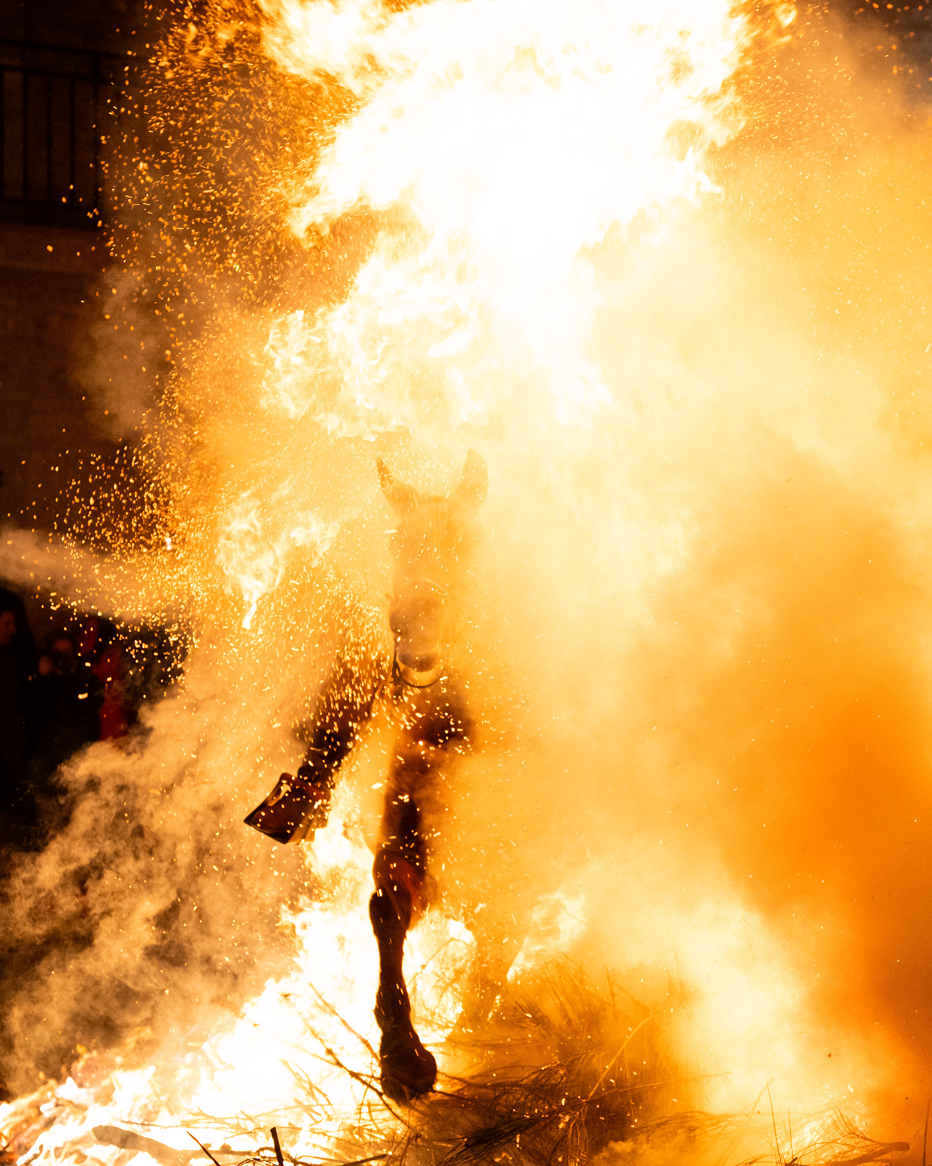 Las Luminarias, 2025