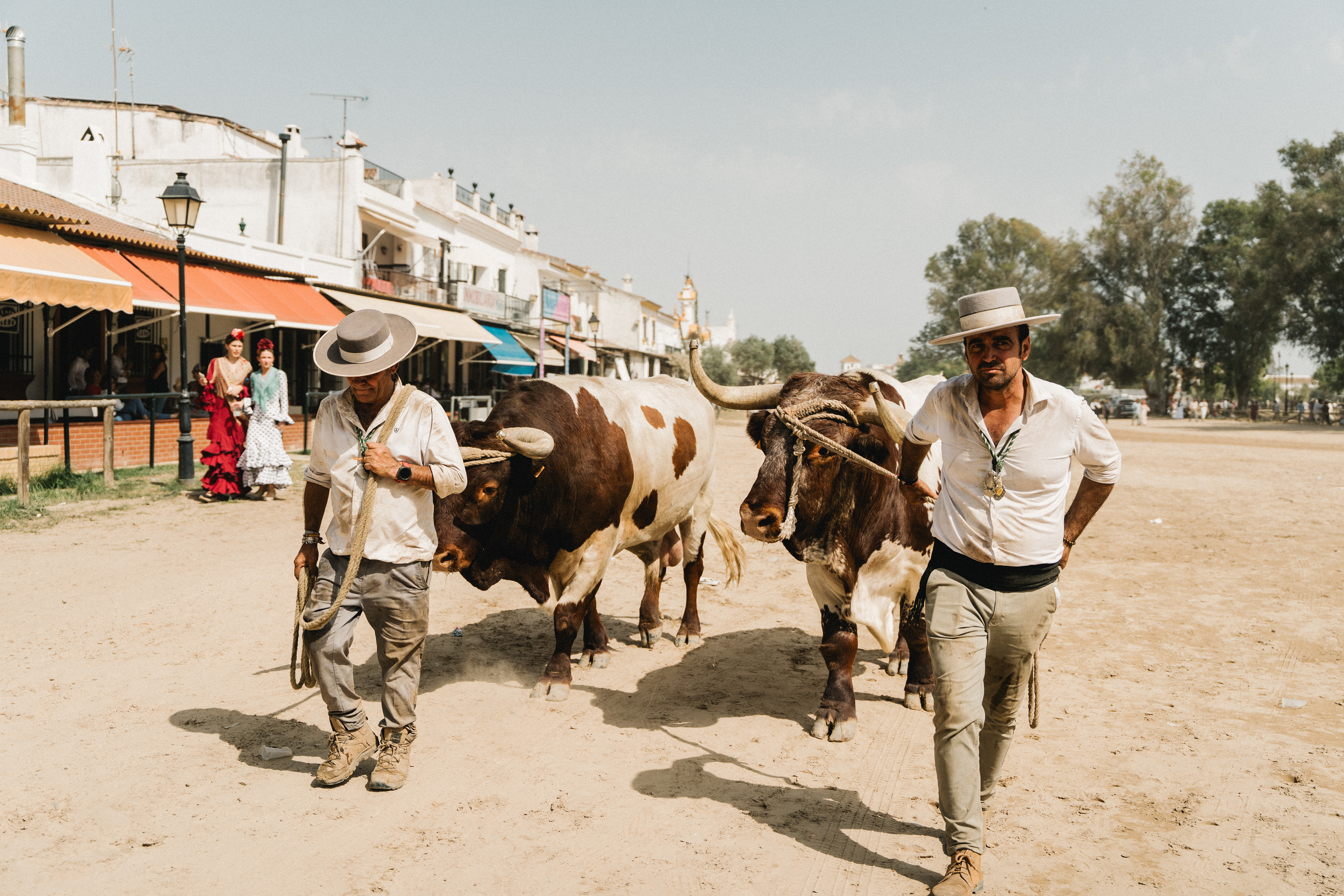 La Romeria del Rocio, 2025