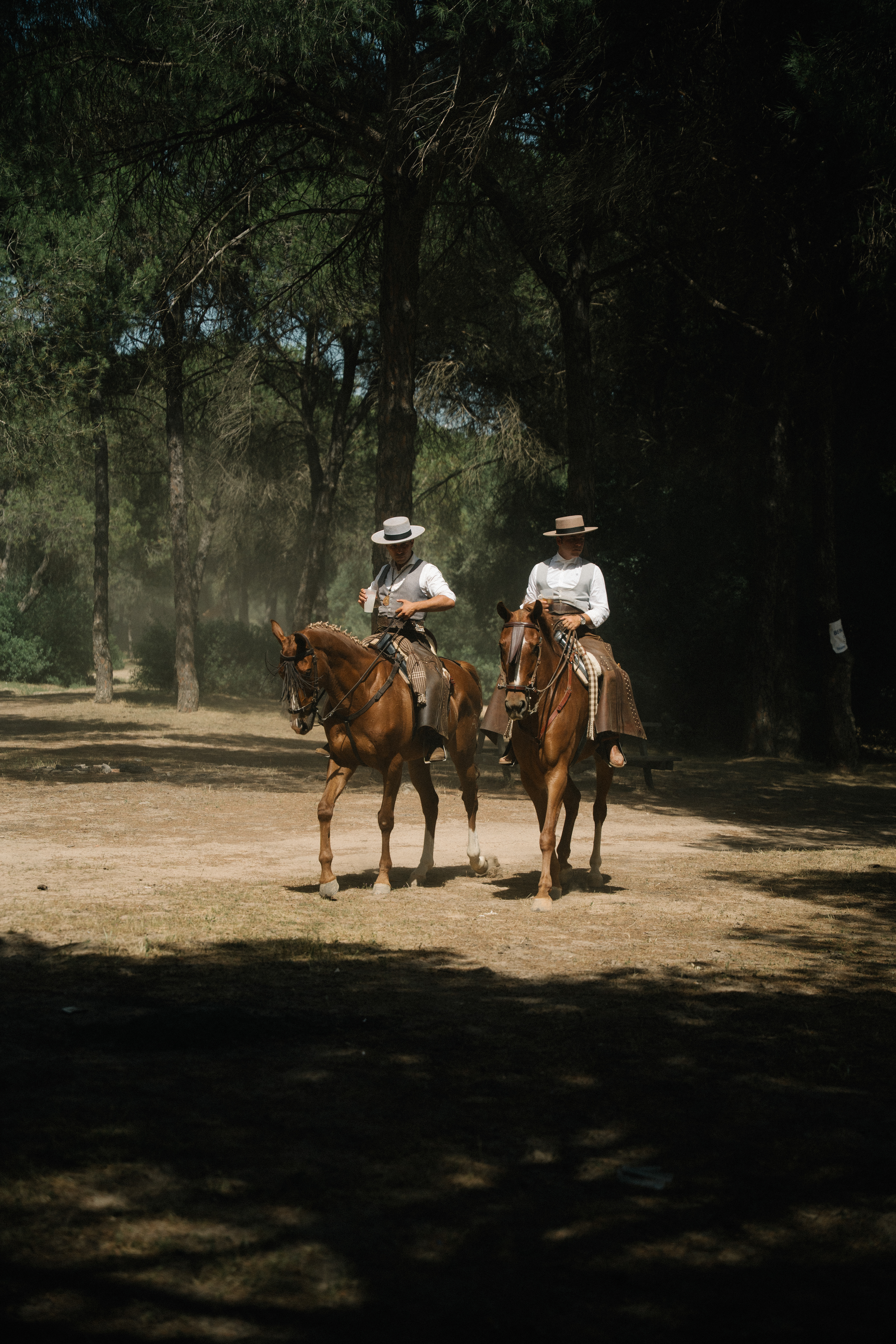 La Romeria del Rocio, 2026