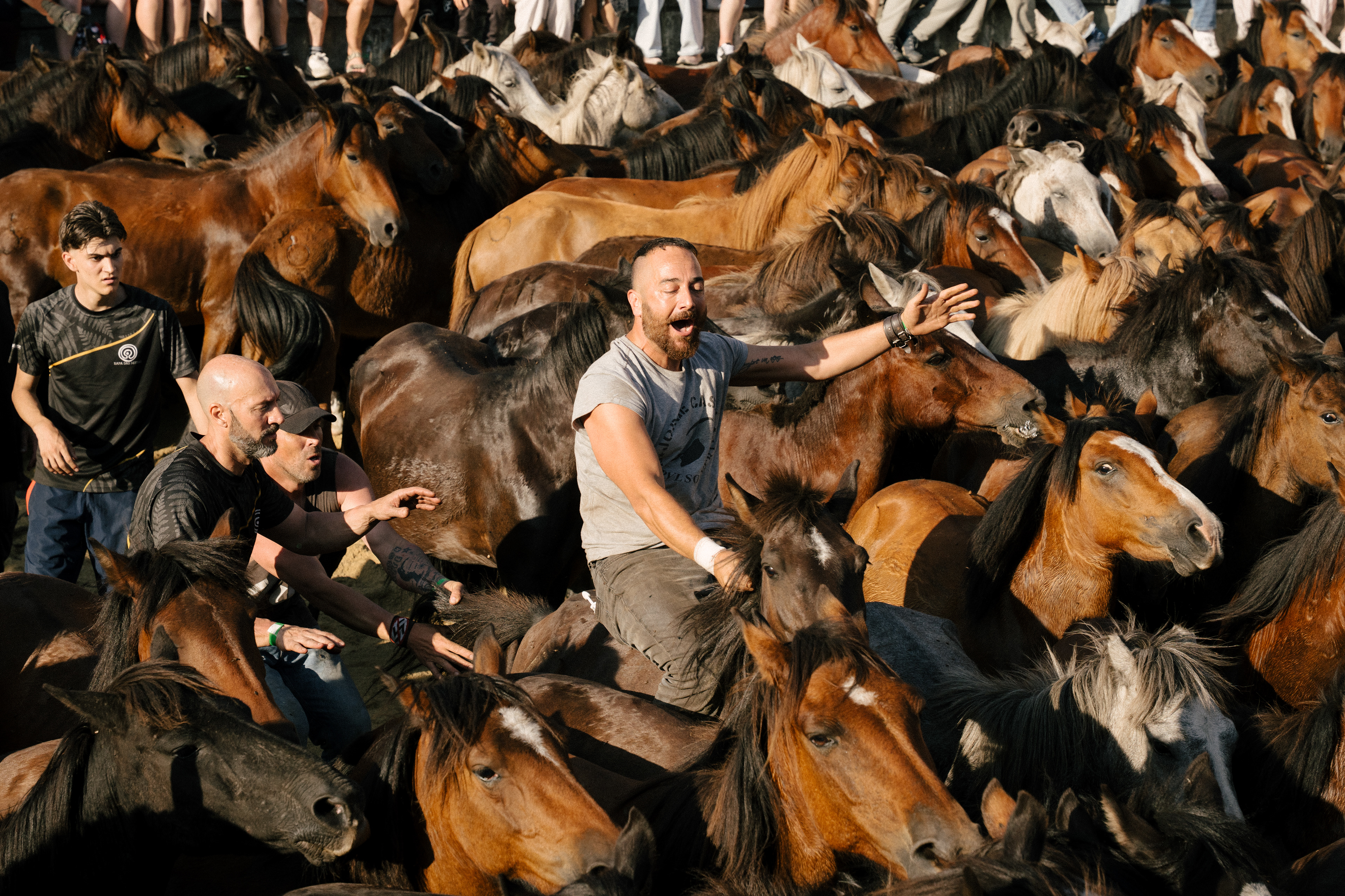 Rapa das Bestas, 2025