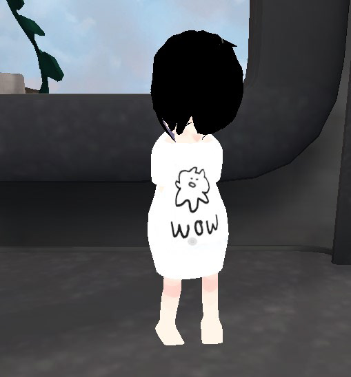 VRChat内へ導入