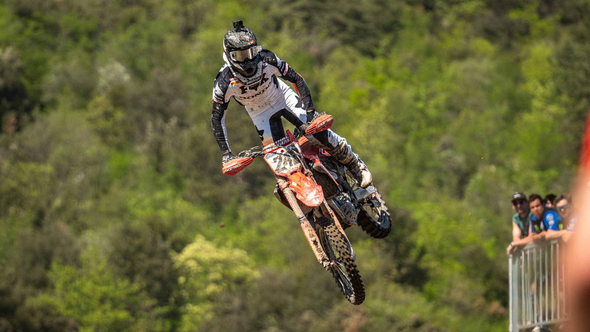 #243 Gajser Tim
