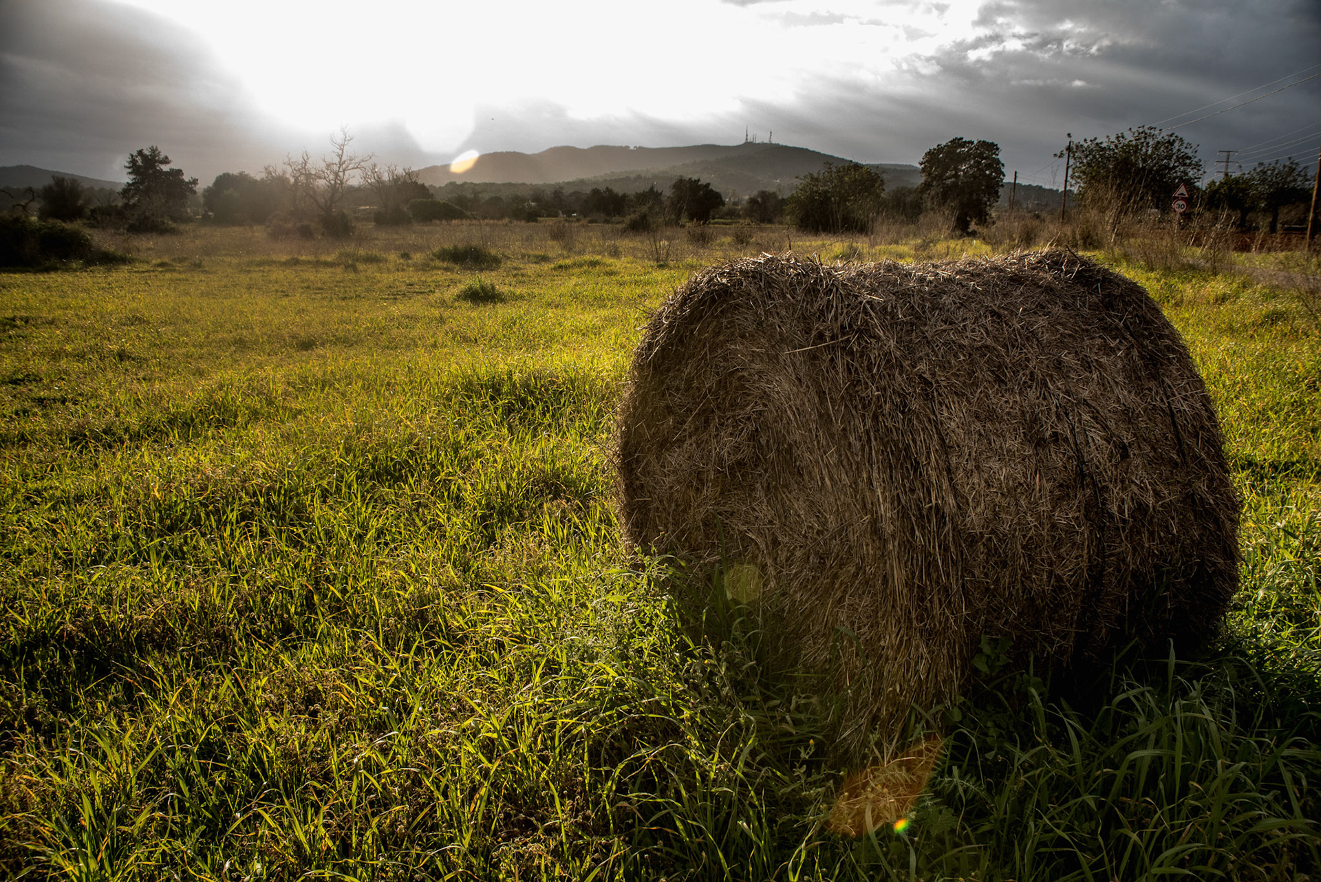 Rural - Ibiza