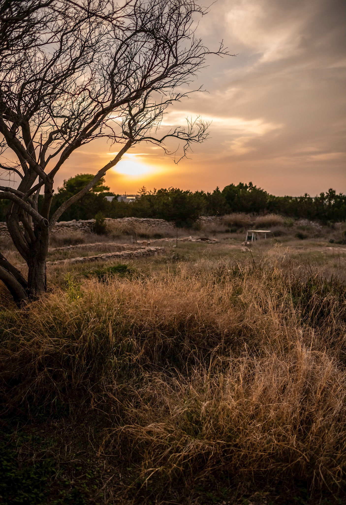 Rural - Formentera