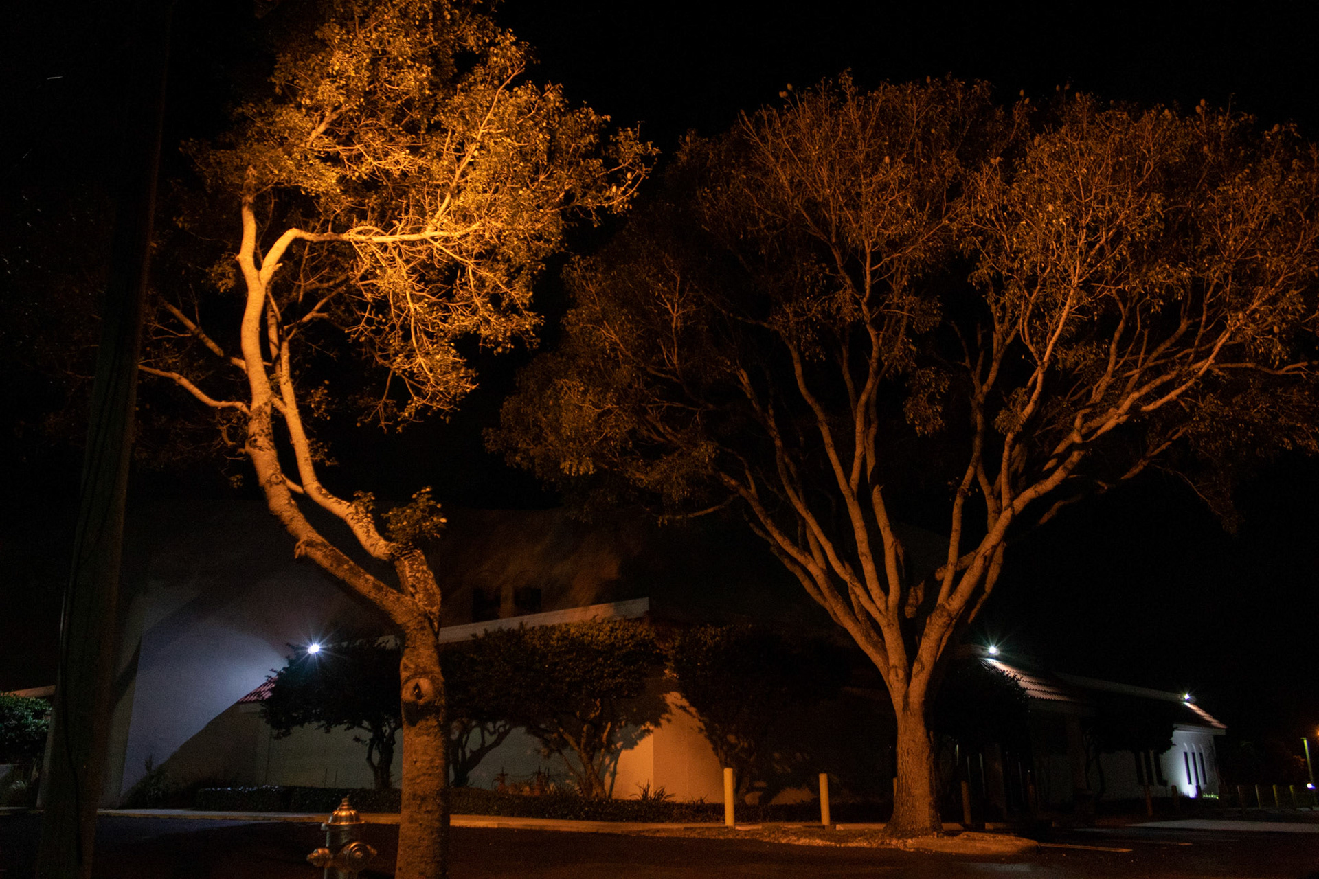 Under the same sun. 2019