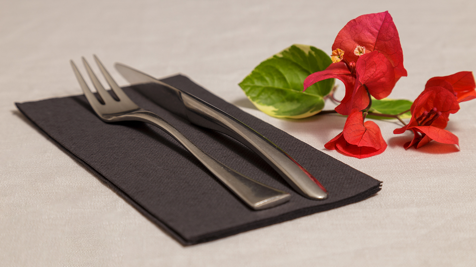 Servilletas de papel Tissue Double Point NEGRO plegadas a 1/6