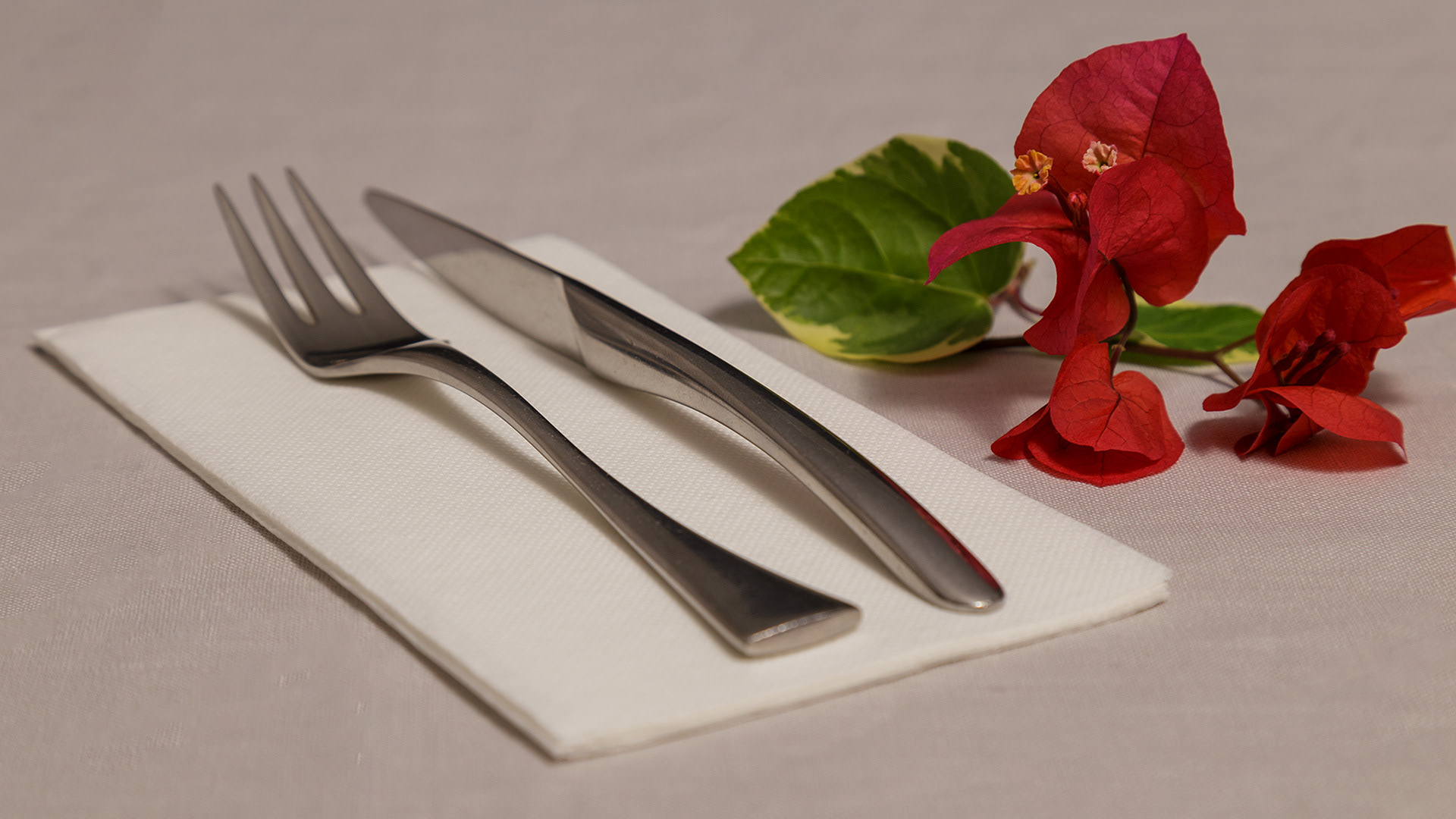 Servilletas de papel Tissue Double Point BLANCO plegadas a 1/6