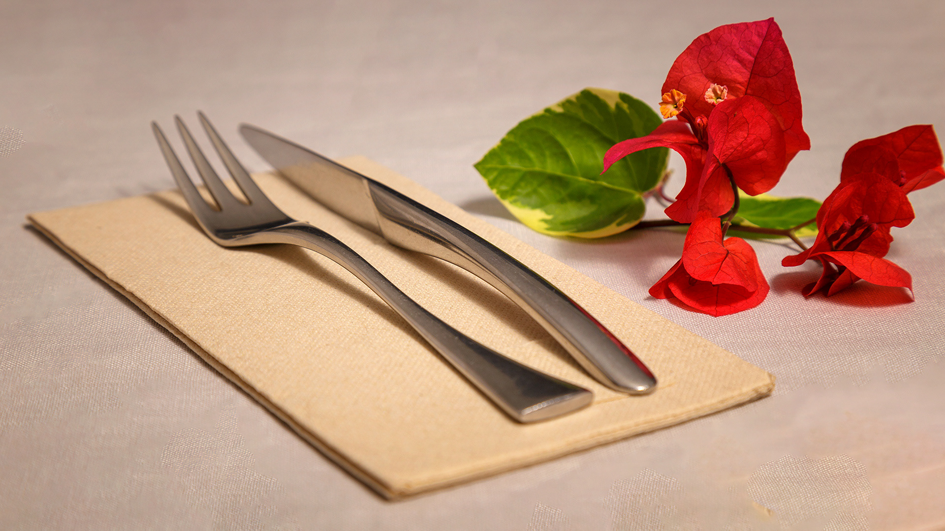 Servilletas de papel Tissue Double Point CRUDO plegadas a 1/6