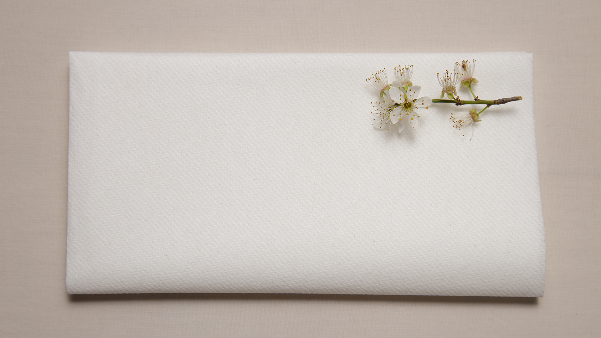 Servilletas de papel Airlaid BLANCO plegadas a 1/4