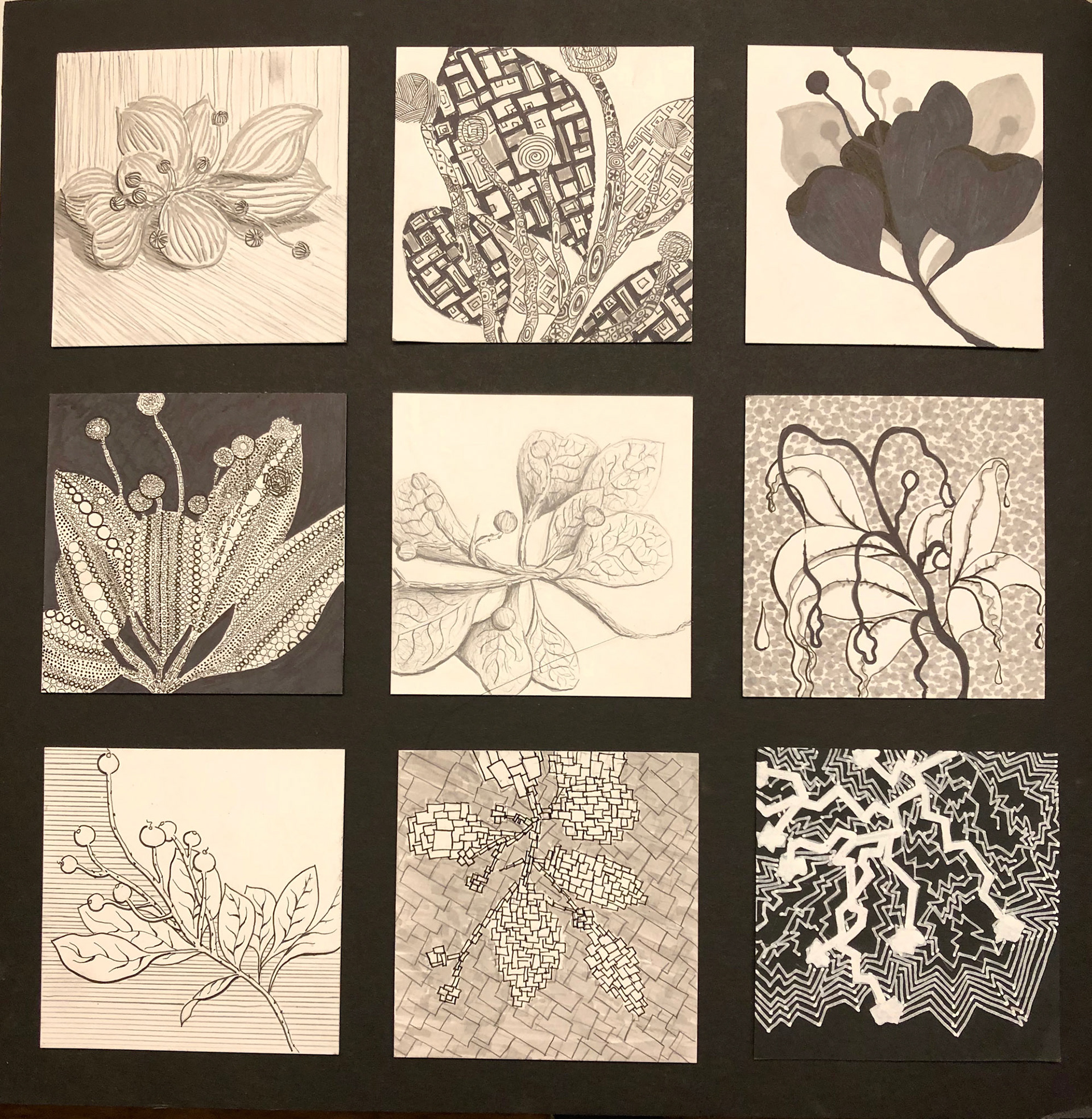 Multi-Stylized Hibiscus (Pen/Prismacolor/Chalk)