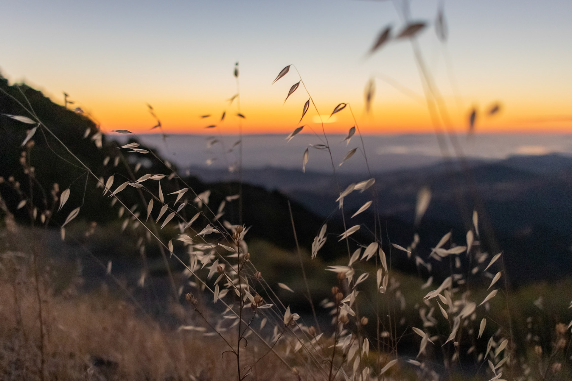 Sunset over Bay Area