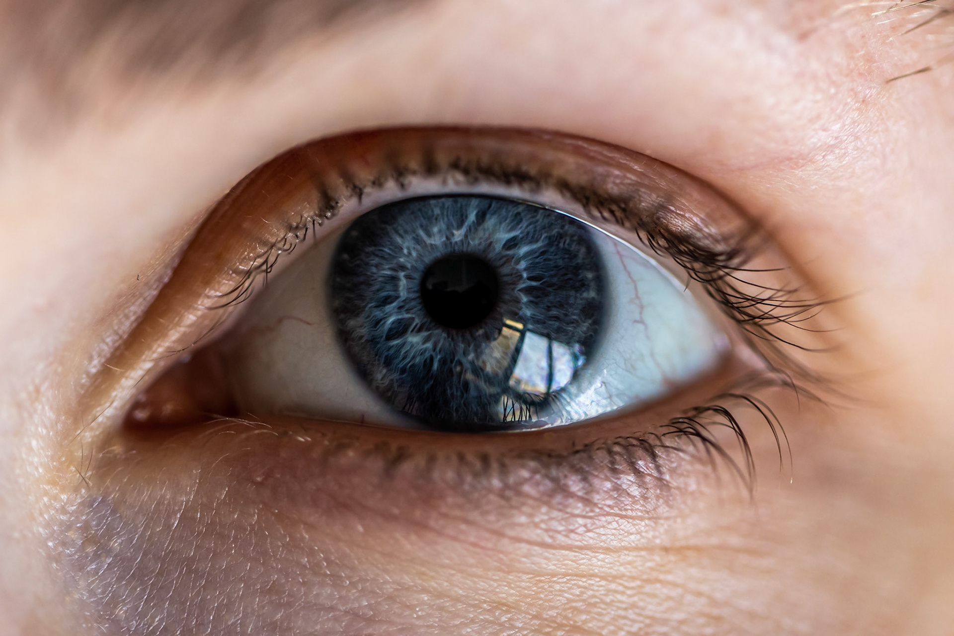 Eye
