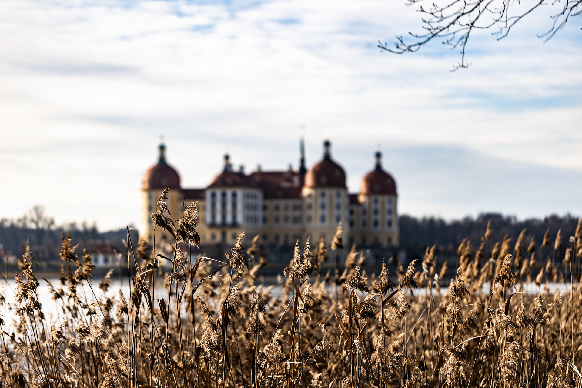 Schloss Moritzburg