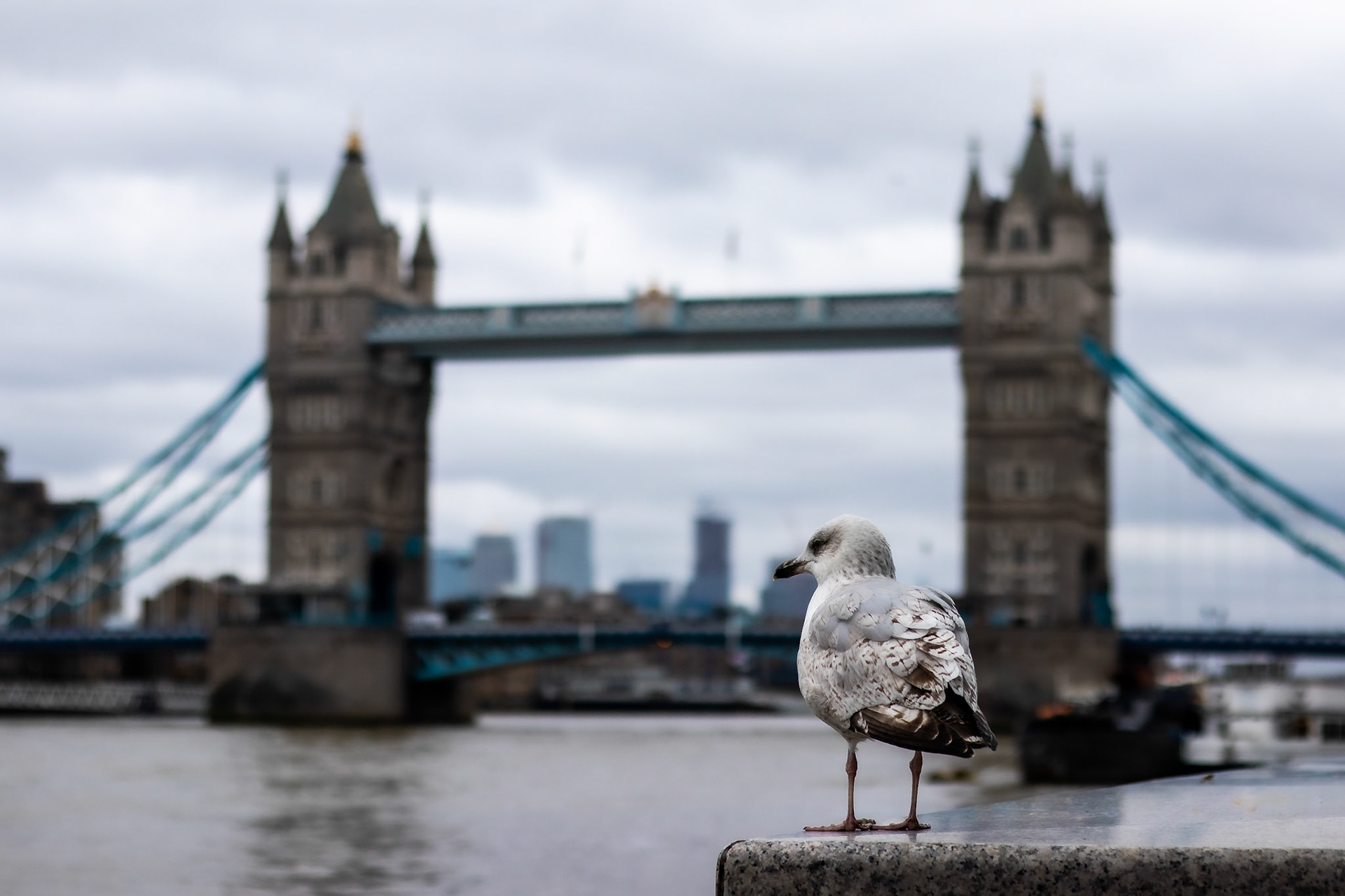 Tower Bridge, London