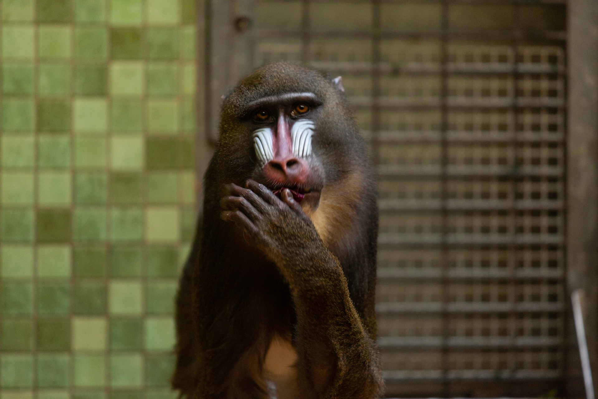 Zoo Berlin