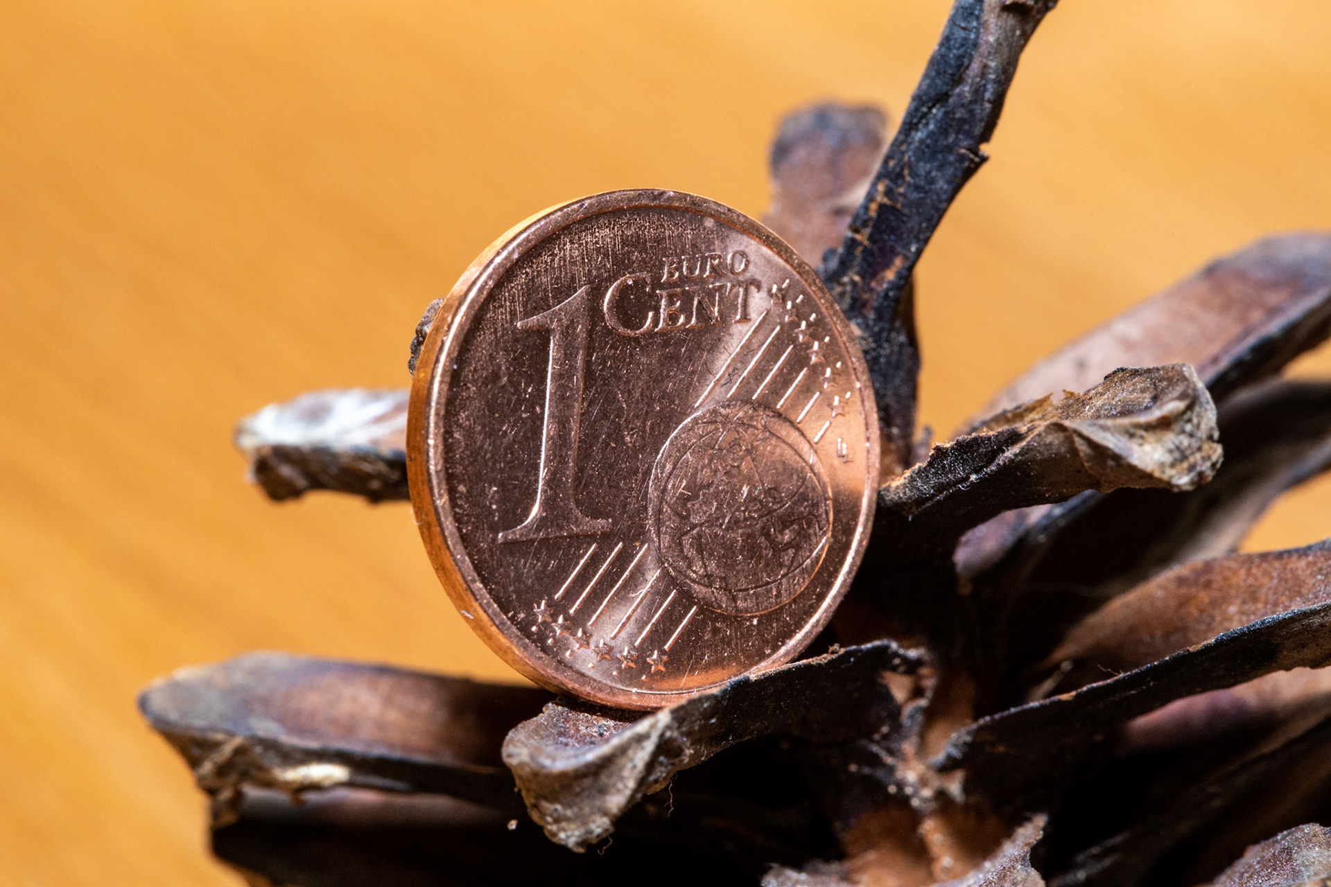 A cent