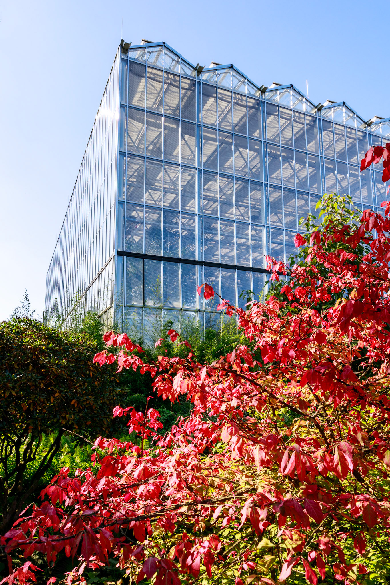 Gärten der Welt, Berlin-Marzahn