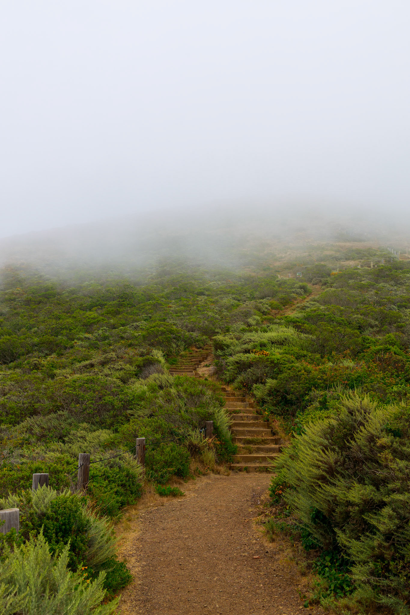 Marin Headlands, Sausalito, California. An diesem Ort, nördlich der Golden Gate Bridge, wurde das Mountainbike erfunden.