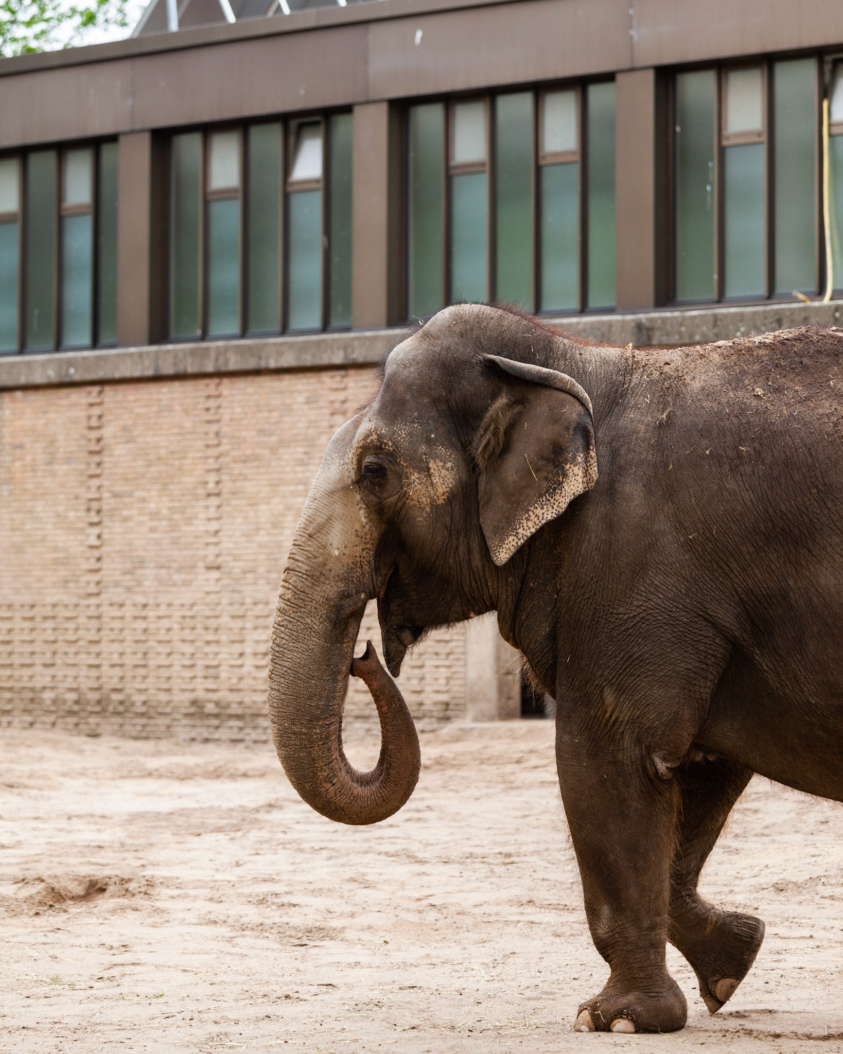 Zoo Berlin