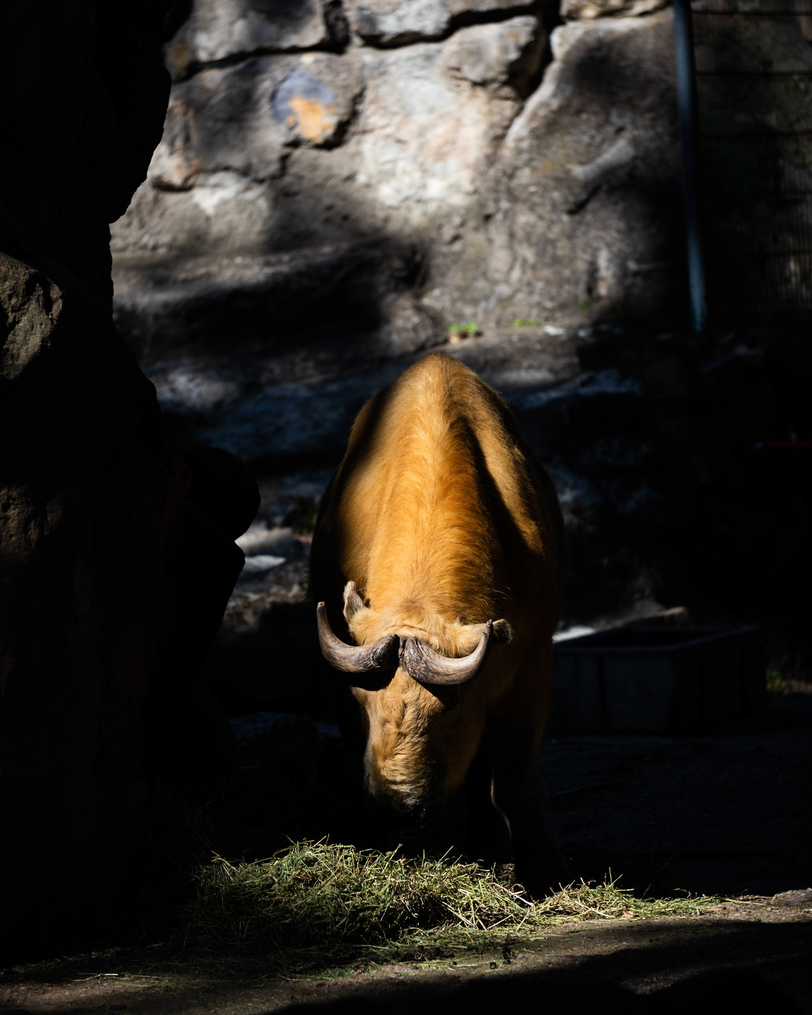 Zoo Berlin