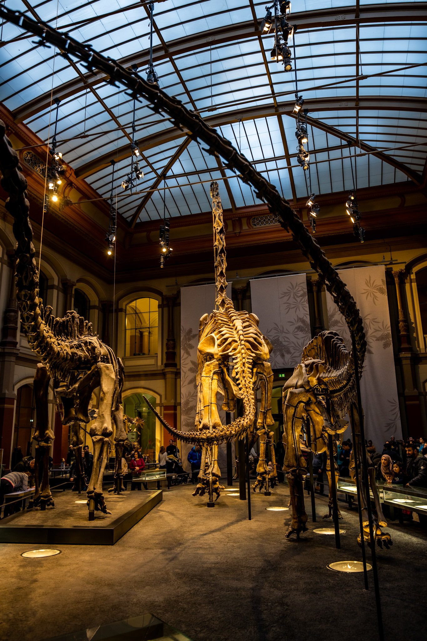 Naturkundemuseum, Berlin-Mitte