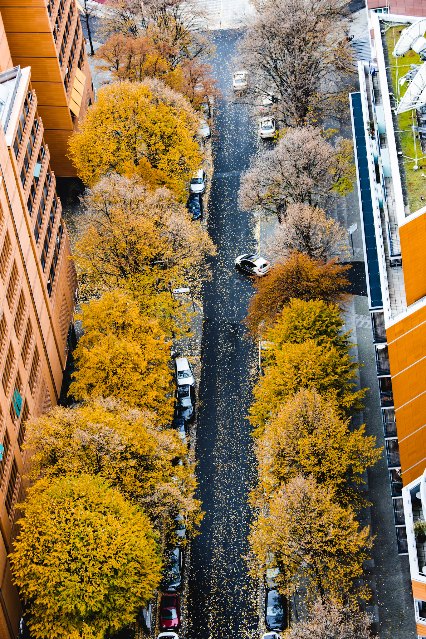 Autumn colors in the city