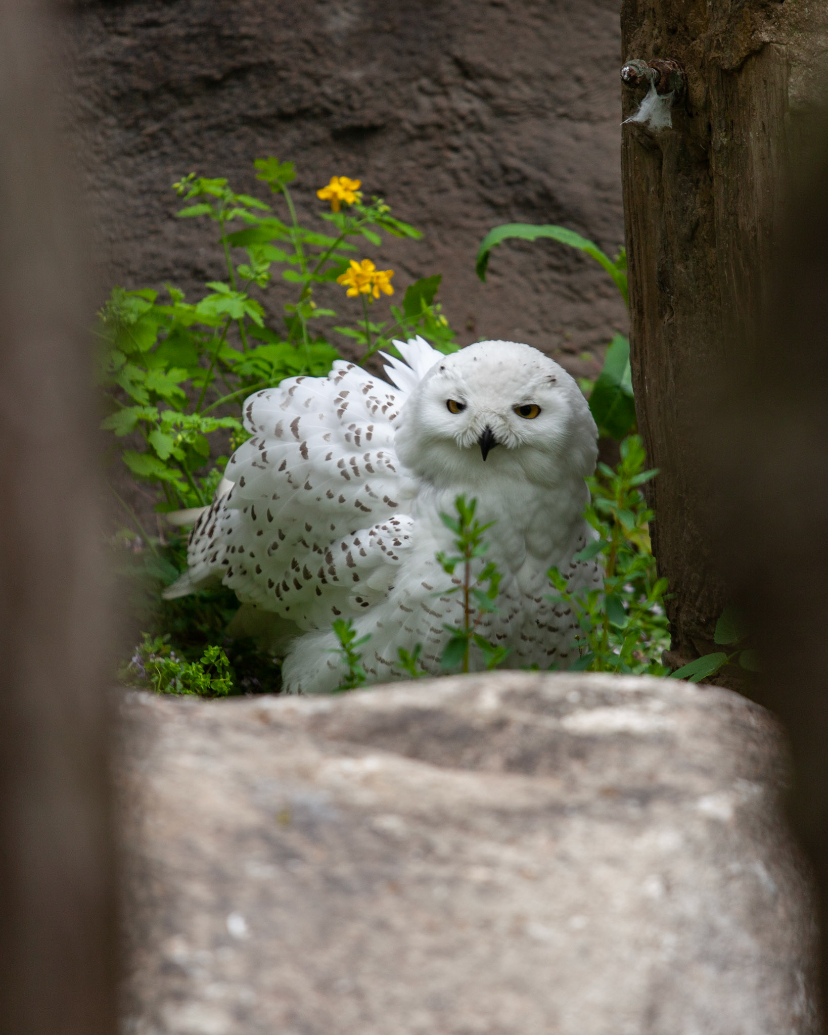 Zoo Berlin