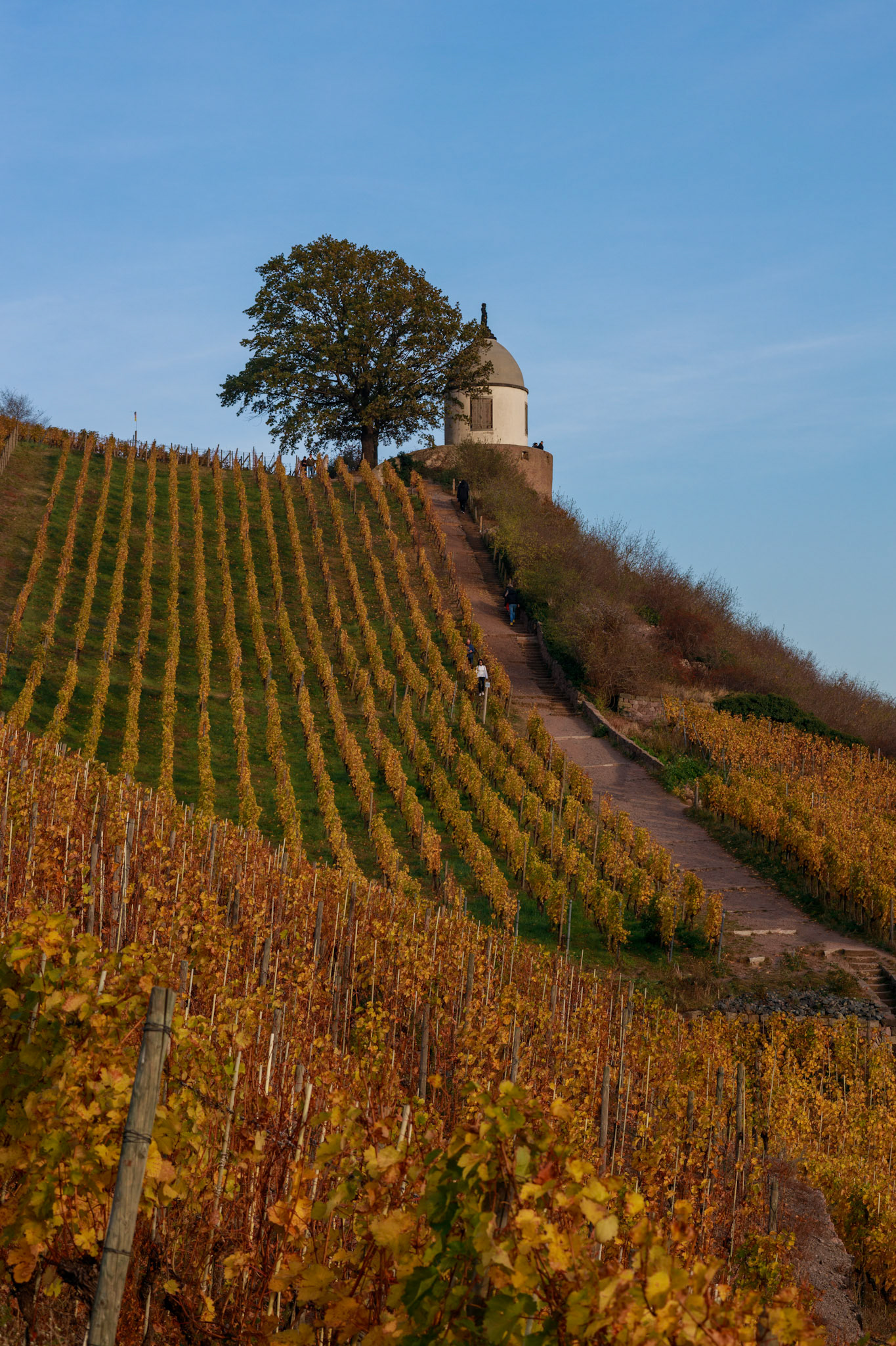 Schloss Wackerbarth, Radebeul, Sachsen