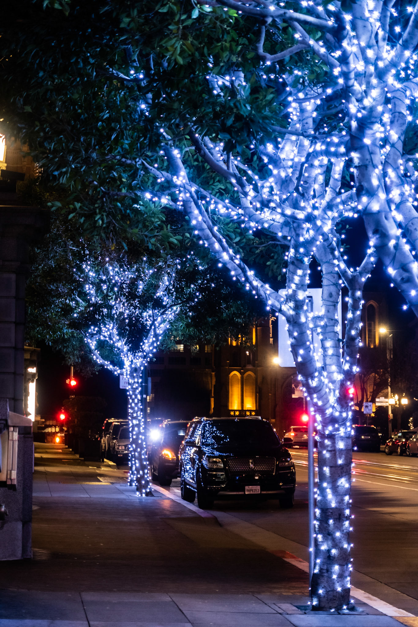 Christmas Time in California