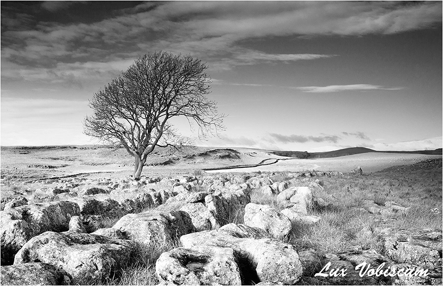 Malham Link Lane