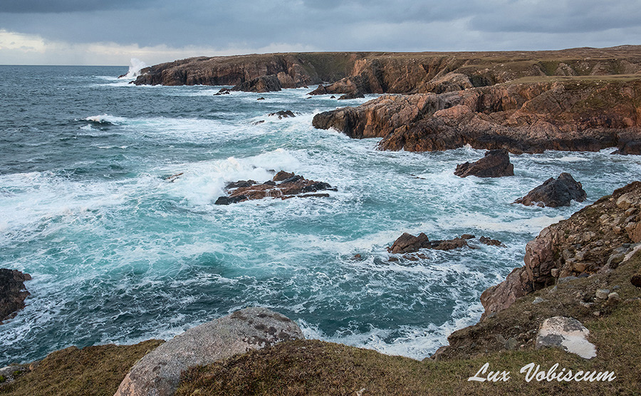 Geodha an Fhithich