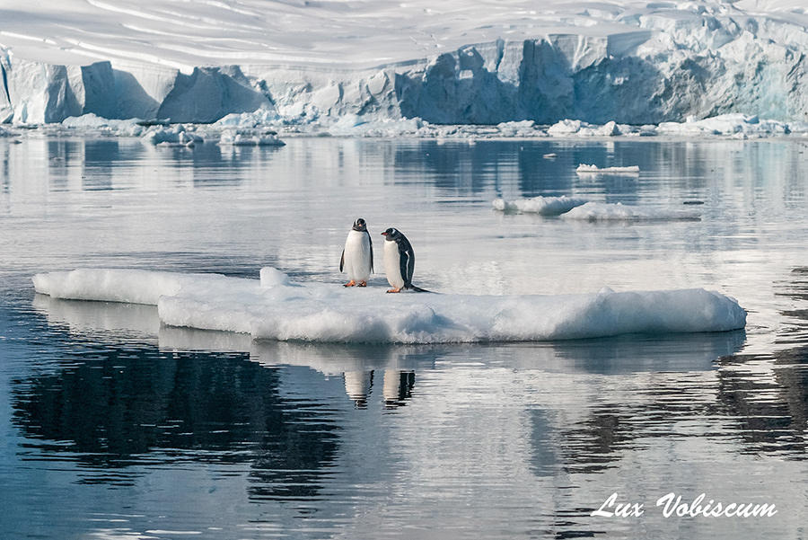 Ice floe, Weddell Sea