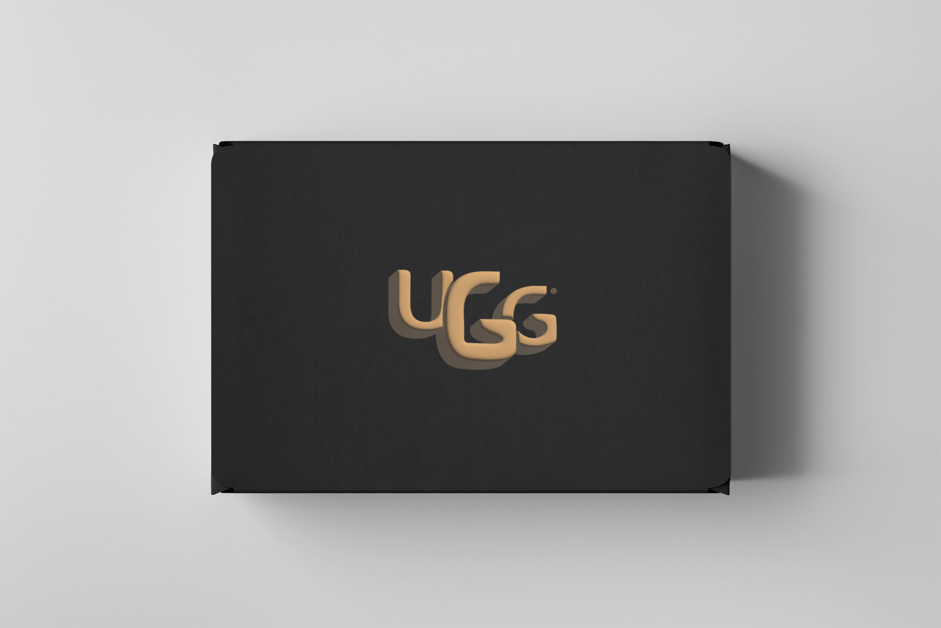 Ugg Shoe Box w/ 3D Logo Angle 2